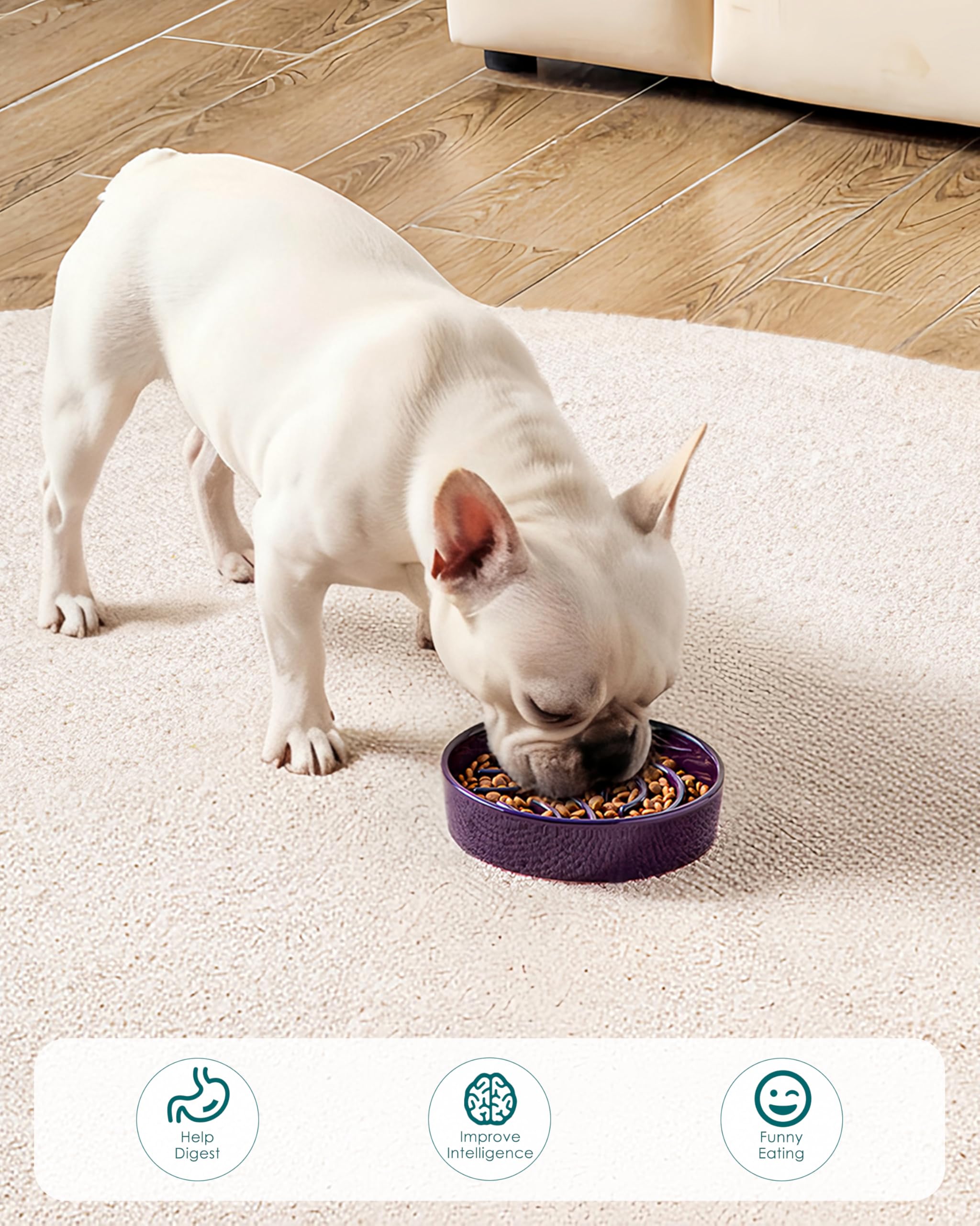 vancasso Slow Feeder Dog Bowl, 0.6 Cup Ceramic Slow Feeding Food Dish for Small Breed, Puzzle Dog Food Bowl for Fast Eater, Dark