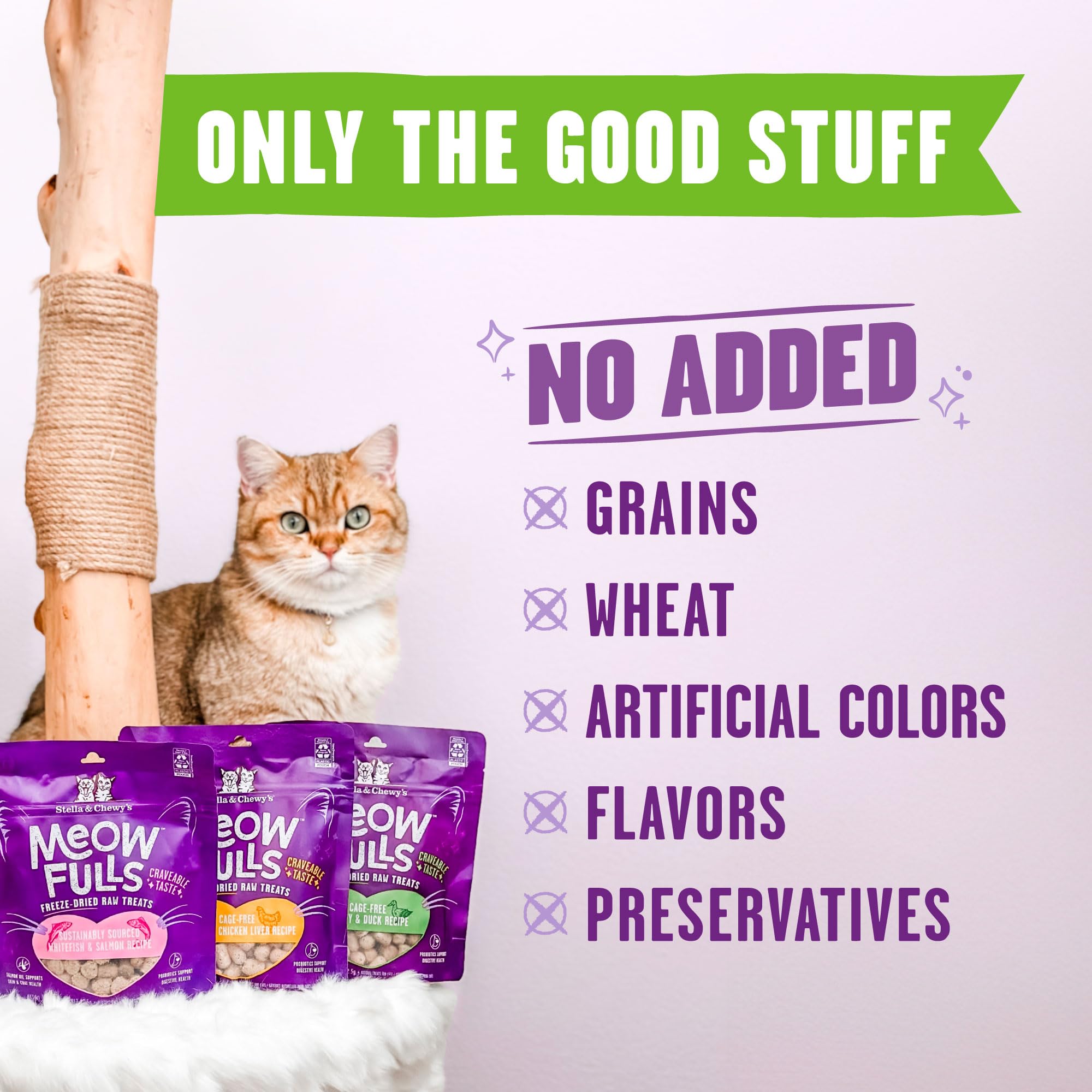 Stella & Chewys Meowfulls Freeze Dried Cat Treats - Turkey & Duck Recipe - Raw Protein with Probiotics & Salmon Oil - 1 Calorie
