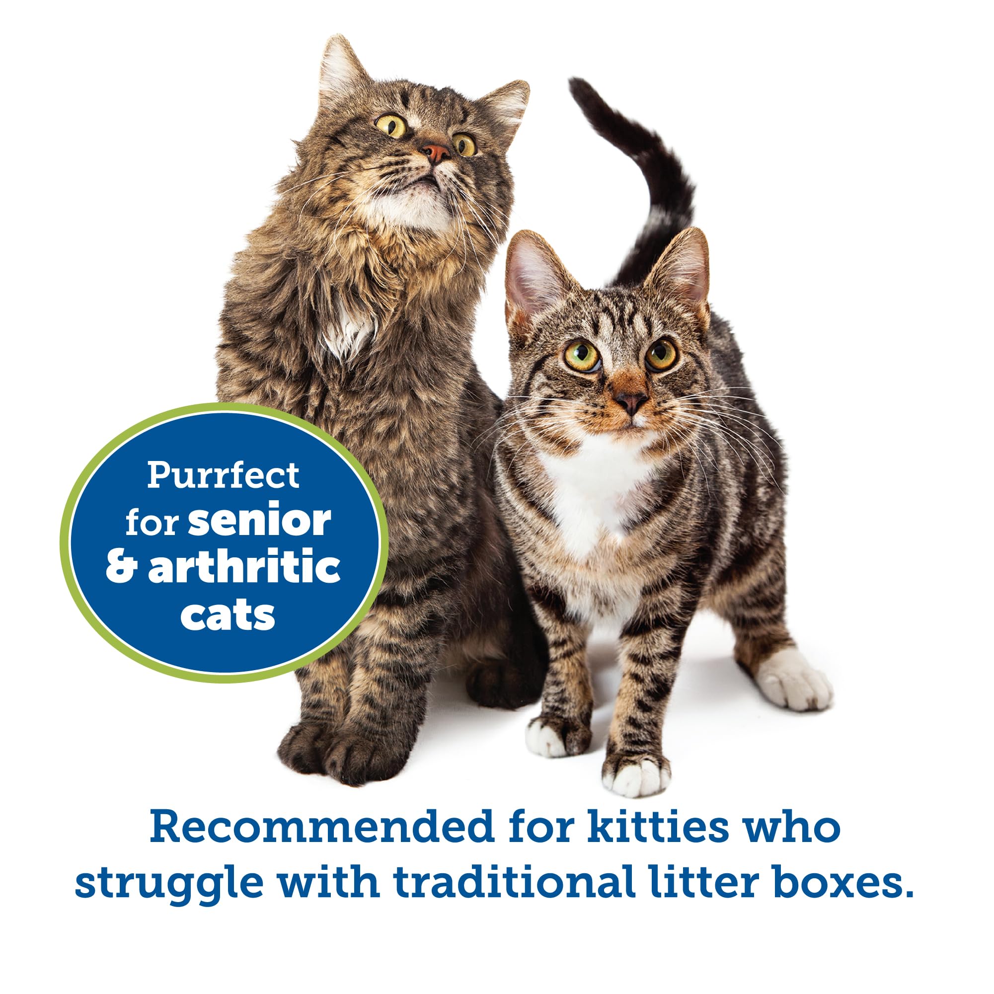 Kittygohere Senior Cat Litter Box 2 Pack, Large Misty Gray Low Entrance Kitty Litter Box, Sized For Cats Comfort, Perfect For Se