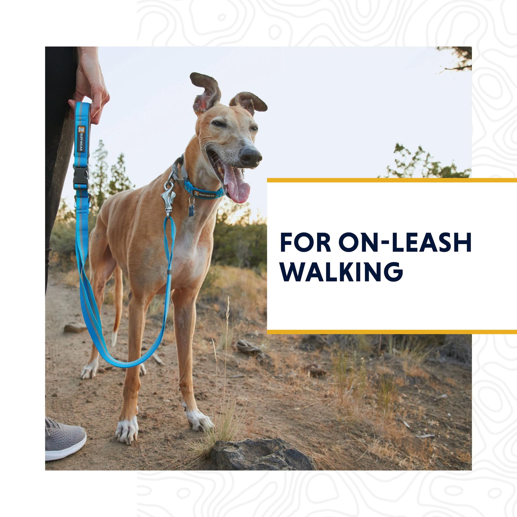 Ruffwear, Web Reaction Dog Collar, Martingale Collar For On-Leash Walking, Blue Pool, 11''-14''