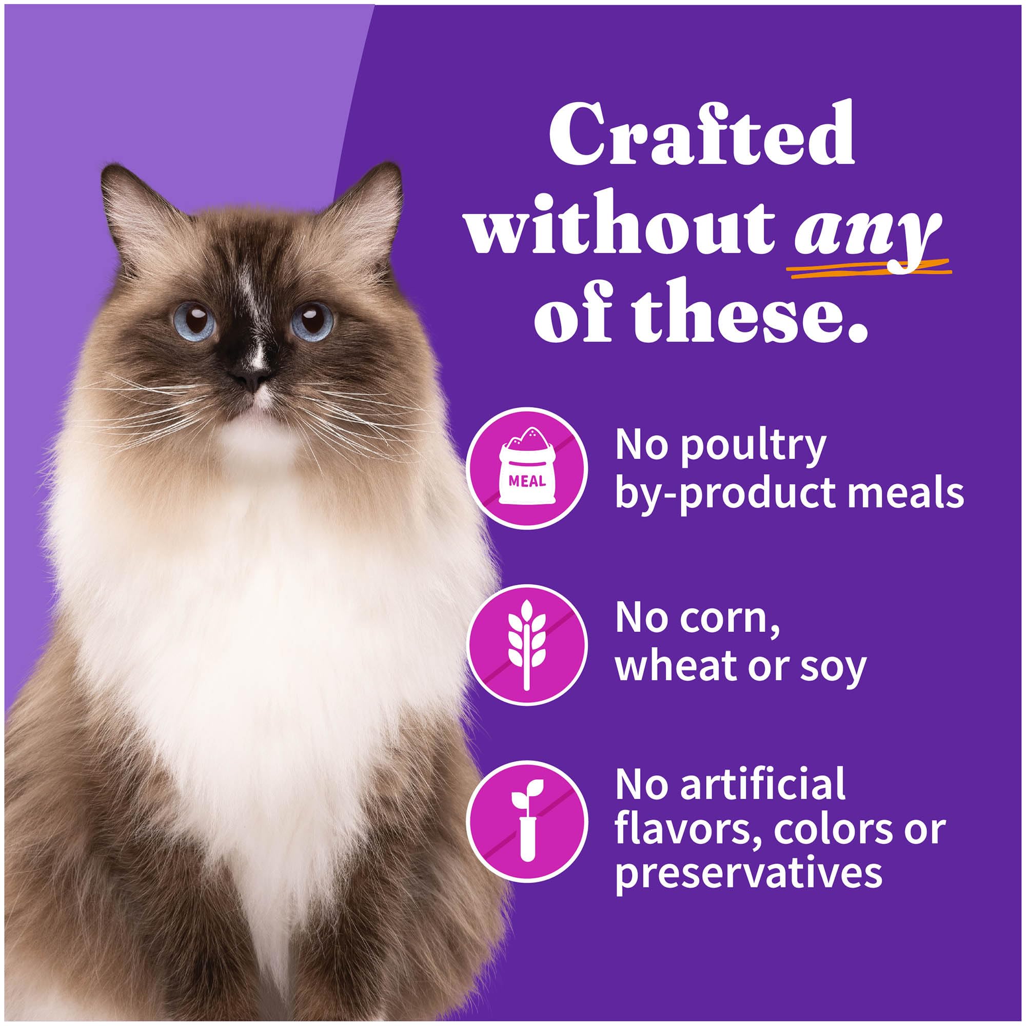 Halo Spots Pate Grain Free Turkey and Duck Food, 8.25 lb./5.5 oz.