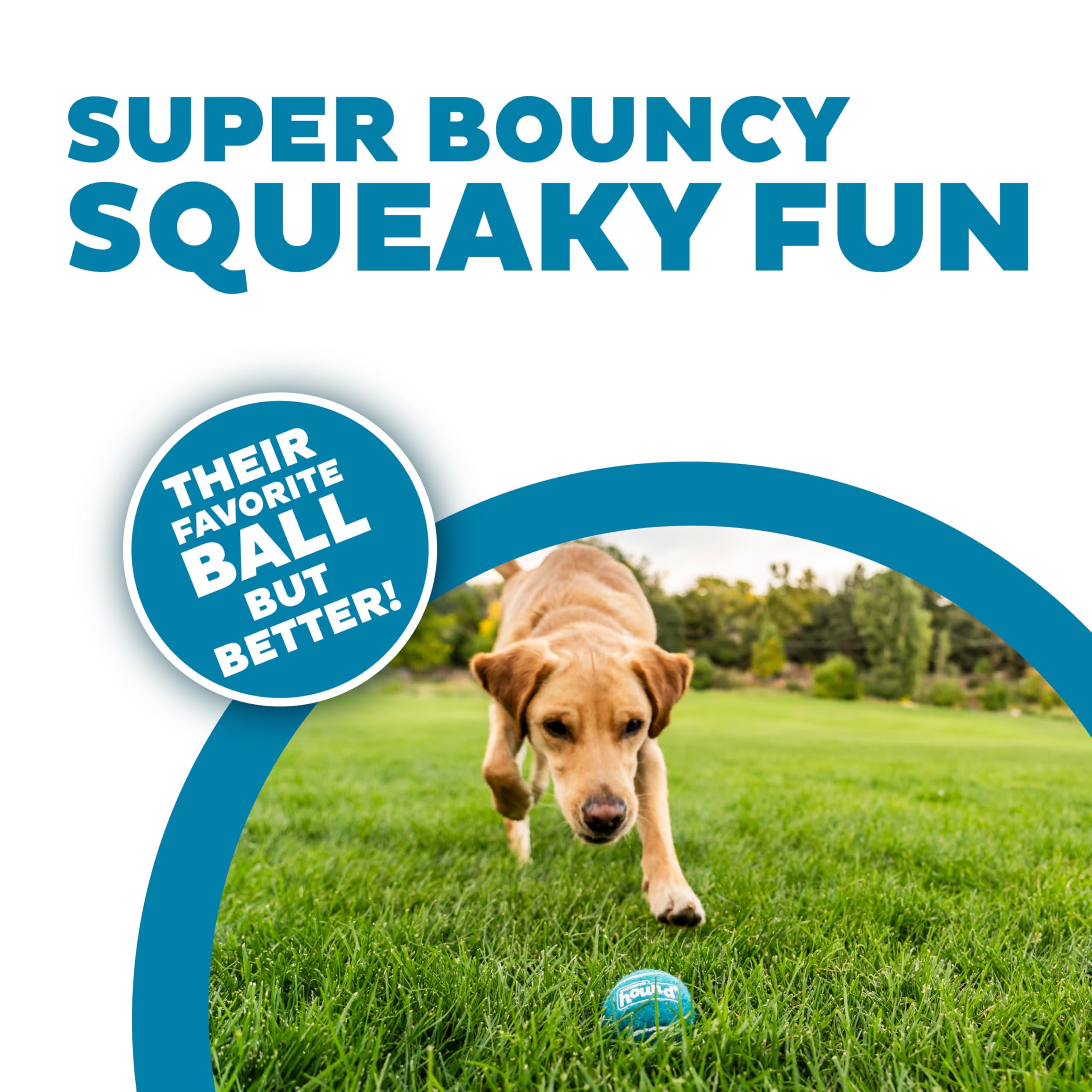 Outward Hound Squeaker Ballz Fetch Dog Toy, Medium, 6-Pack
