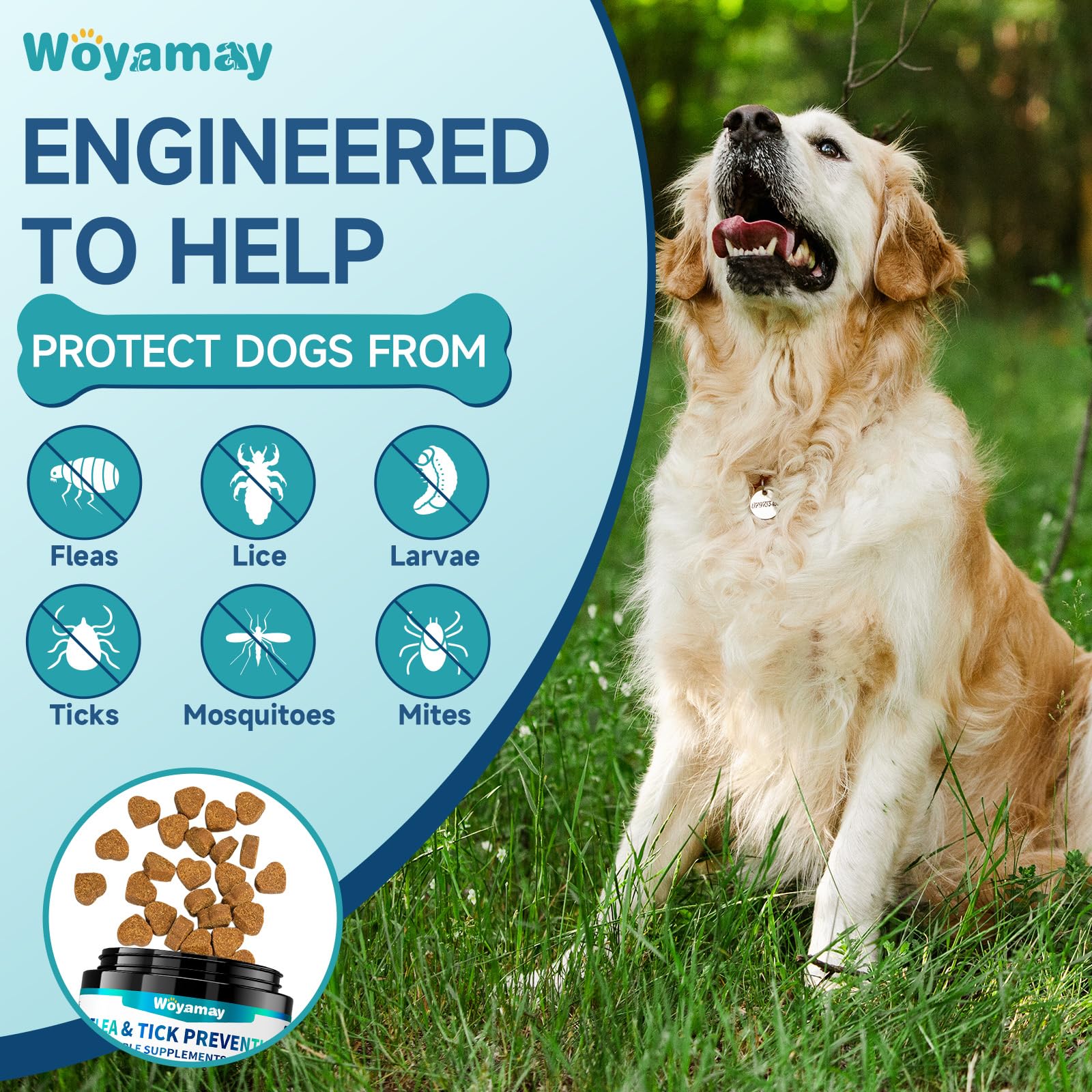 Woyamay Flea and Tick Prevention for Dogs Chewables, 200 Soft Treats, Natural Dog Flea and Tick Treatment, Oral Flea Chews for D