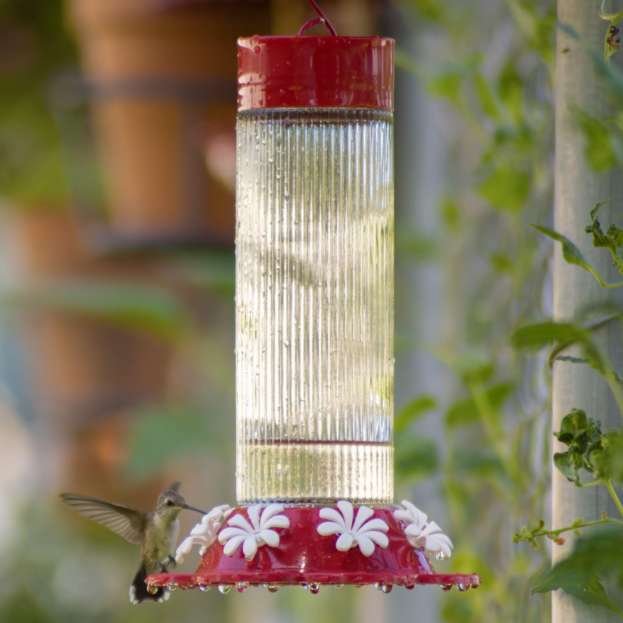 Natures Way Hanging Glass Hummingbird Feeder for Outdoor D  cor, 28 Ounce Capacity Nectar Feeder, Ant Moat, 7 Easy to Clean Fle