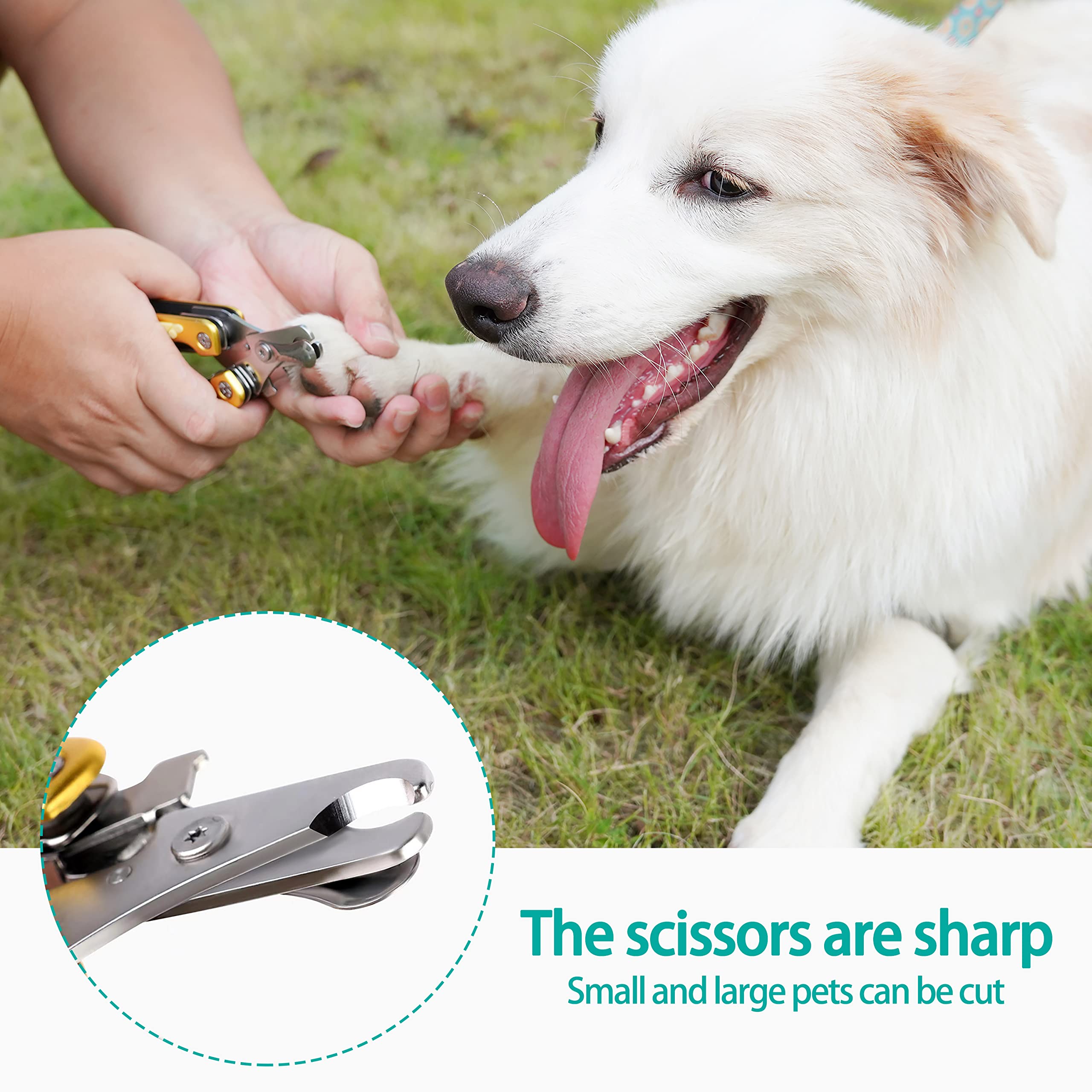 Heavy Duty Dog Nail Clippers For Thick Nail ?Cut Nails Like Butter?, Quite Sharp Pet Nail Clippers For Large Dogs, Easy & Safe D