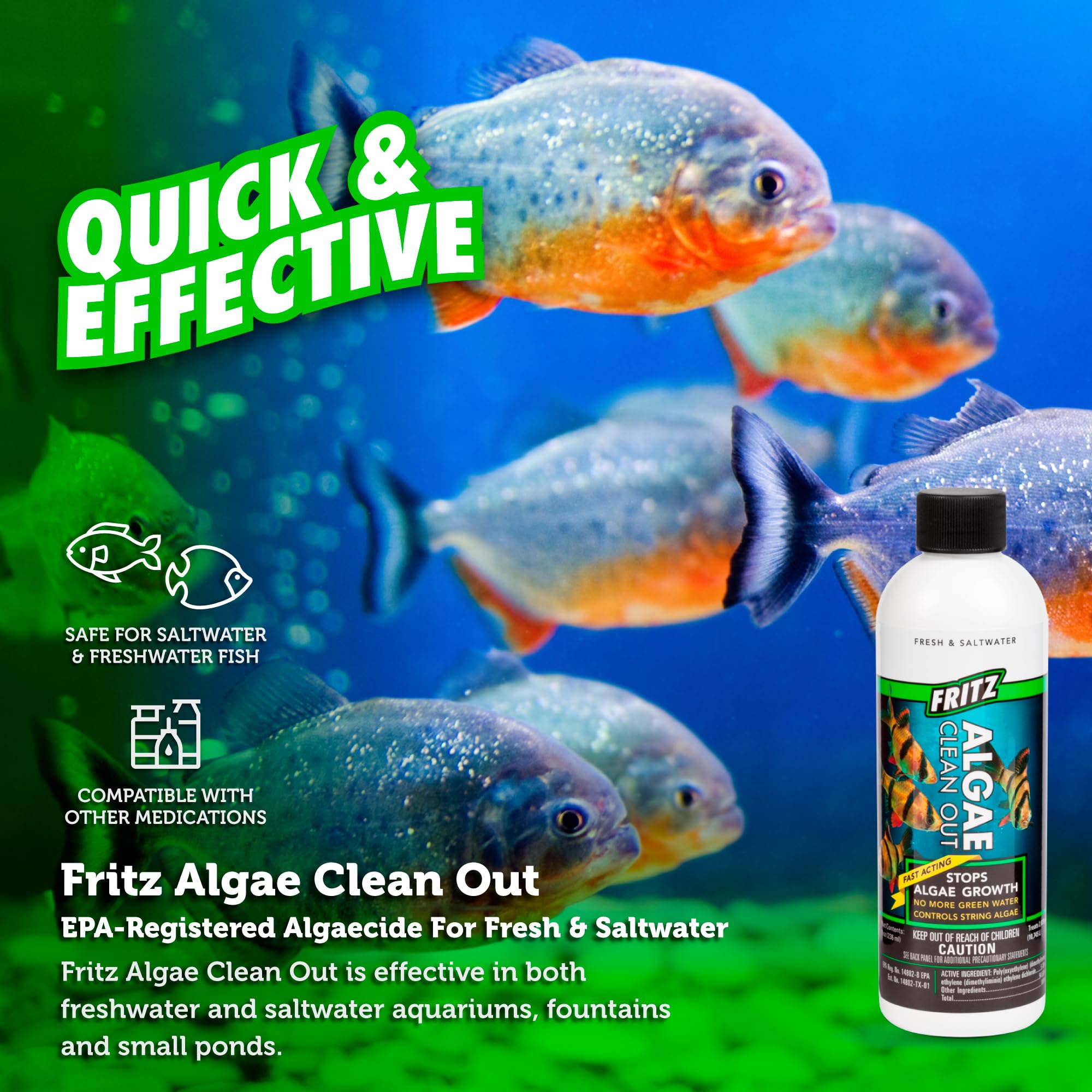 Fritz Aquatics AFA48008 Algae Clean Out for Aquarium, 8-Ounce, Model: 805000