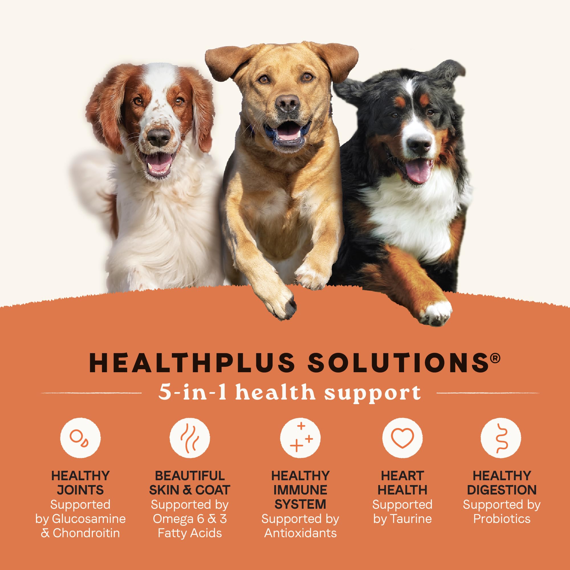Canidae All Life Stages High Protein Dry Dog Food, Multi-Protein Recipe, 4 lbs.