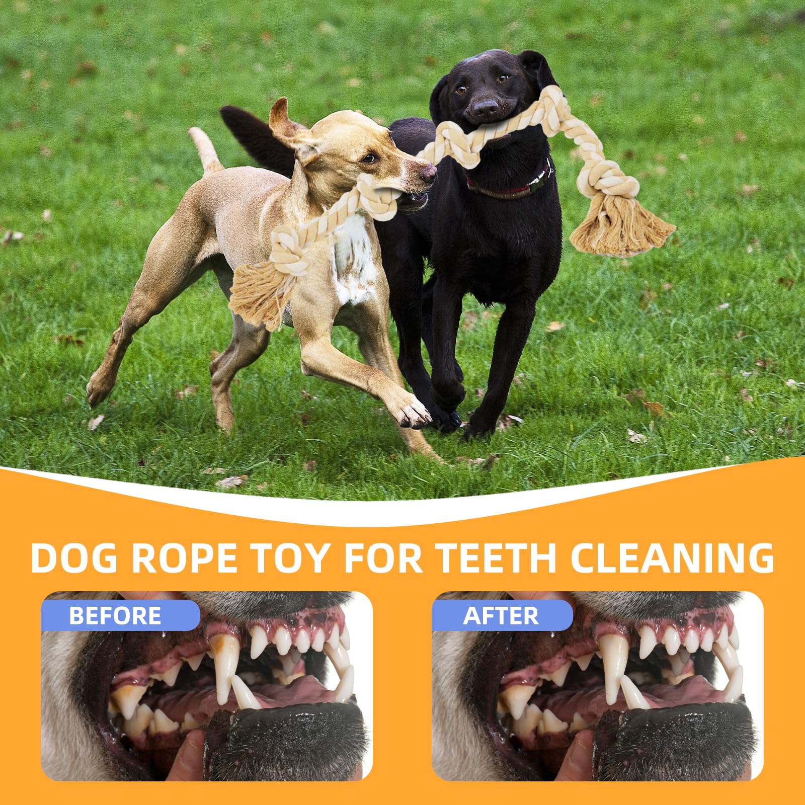 Bmag Dog Toys for Aggressive Chewers, Tough Rope Chew Toys for Medium Large Dogs,Heavy Duty Tough Dog Tug of War Toy with 5 Knot