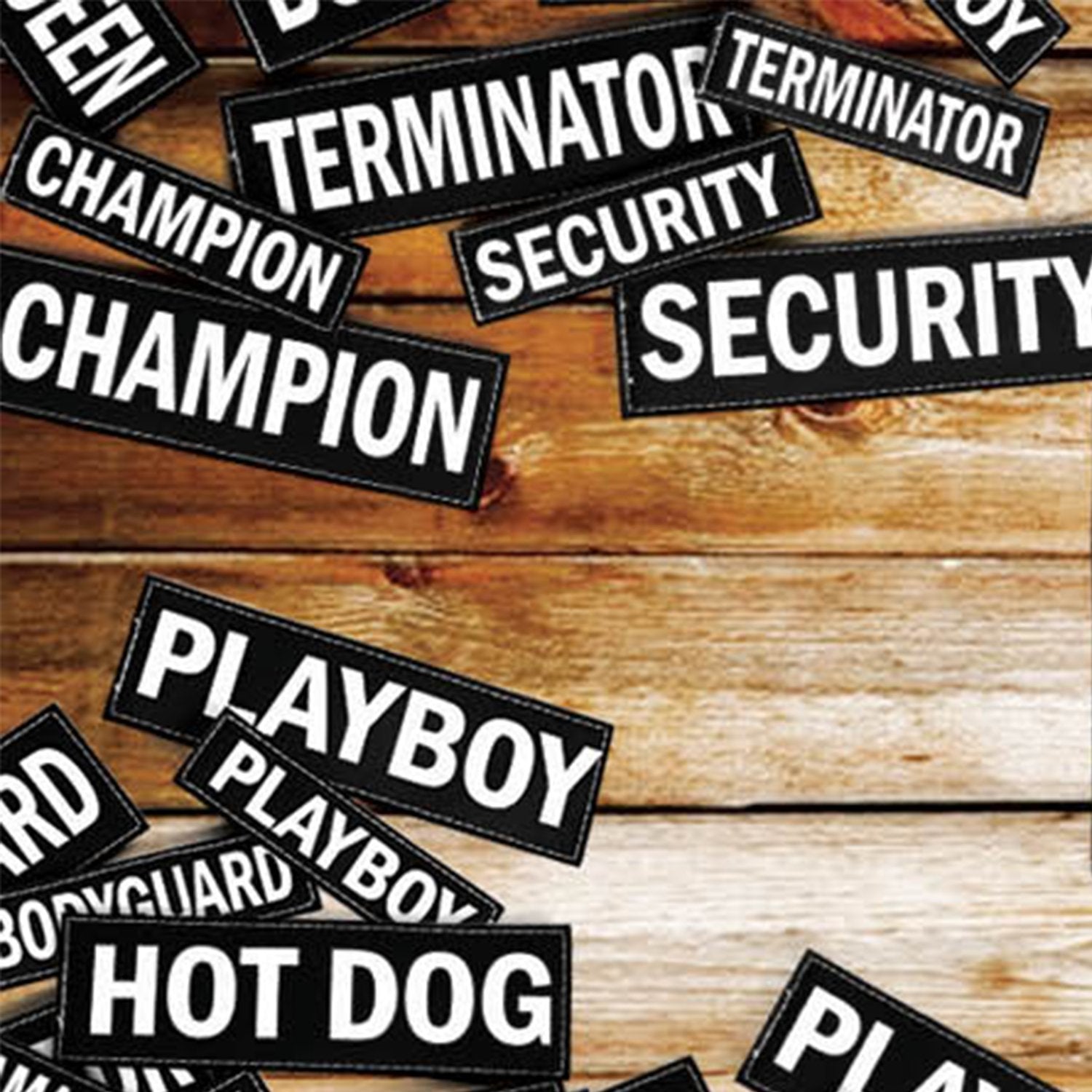 EzyDog Side Badge - Clearly Identifies Your Dog When Wearing The Convert Dog Harness - Set of Two Badges (in Training, Large)