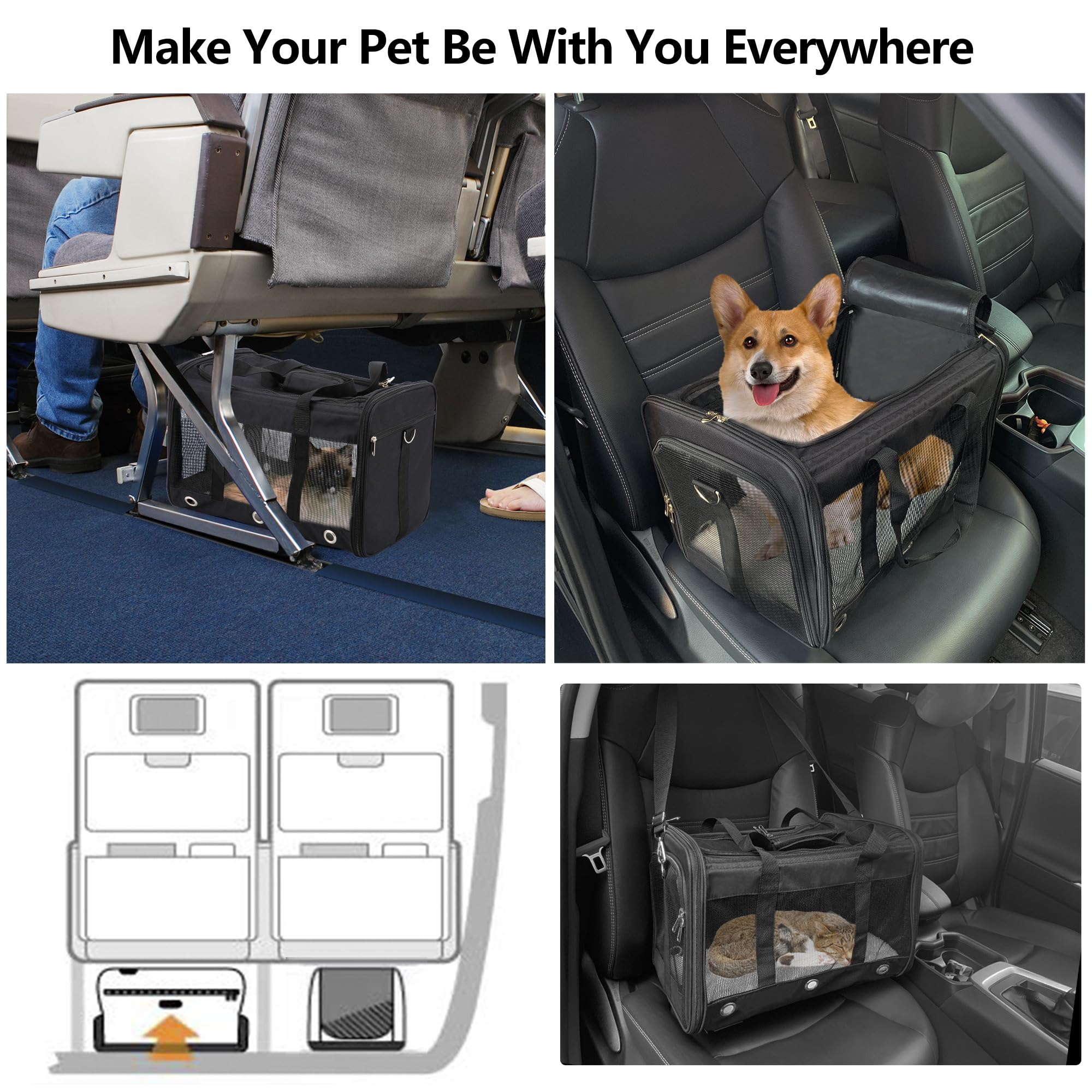 Soft Sided Cat/Dog Carrier