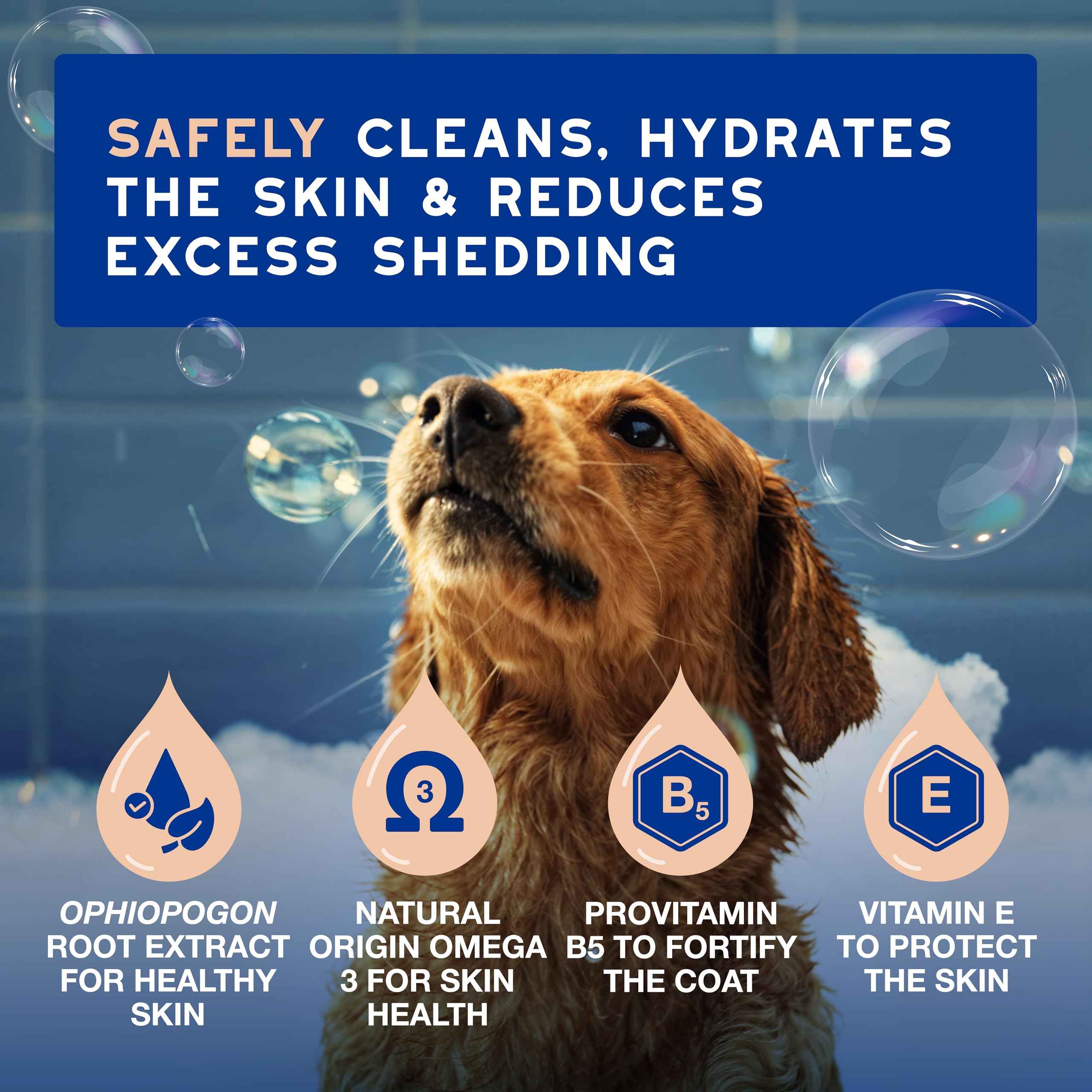Douxo® Skin & Coat SPA Dog Shampoo, 16 fl oz - Reduces Shedding, Hydrates Skin, Softens Coat, Translucent, Model G90610B