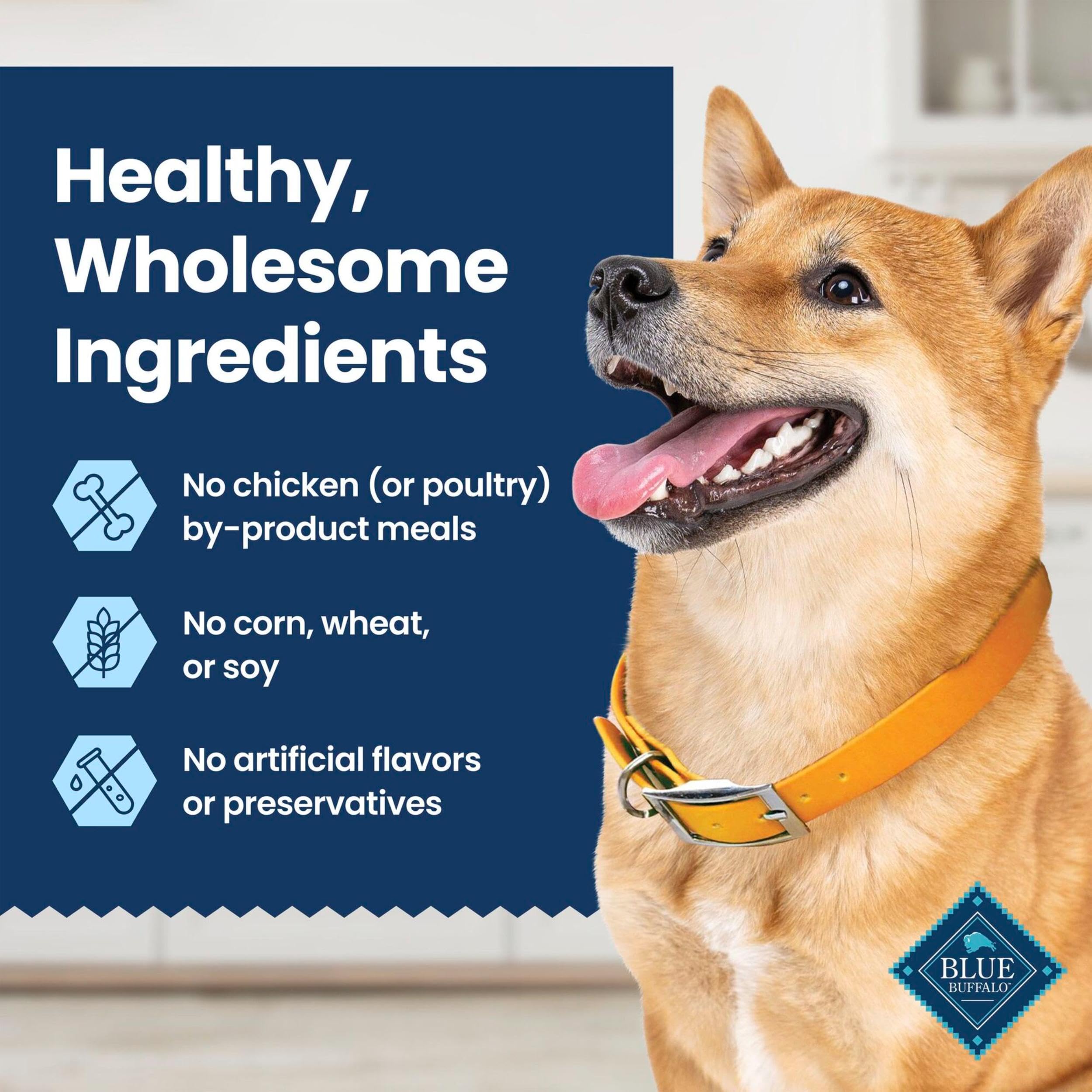 Blue Buffalo Dental Chews Medium Dog Treats, Chicken & Spearmint - 34.5 oz (42 Count)
