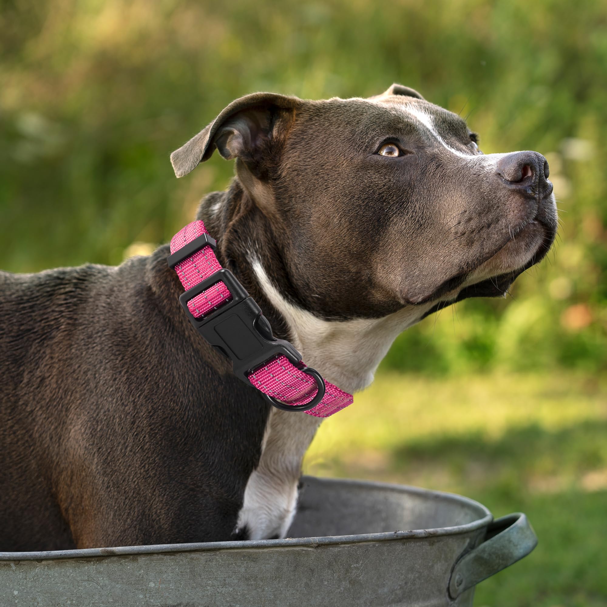 Mile High Life Dog Collar | Nylon Reflective Dog Collars | Light Weight Puppy Collars | Pink Dog Collars For Large Dogs (Solid P