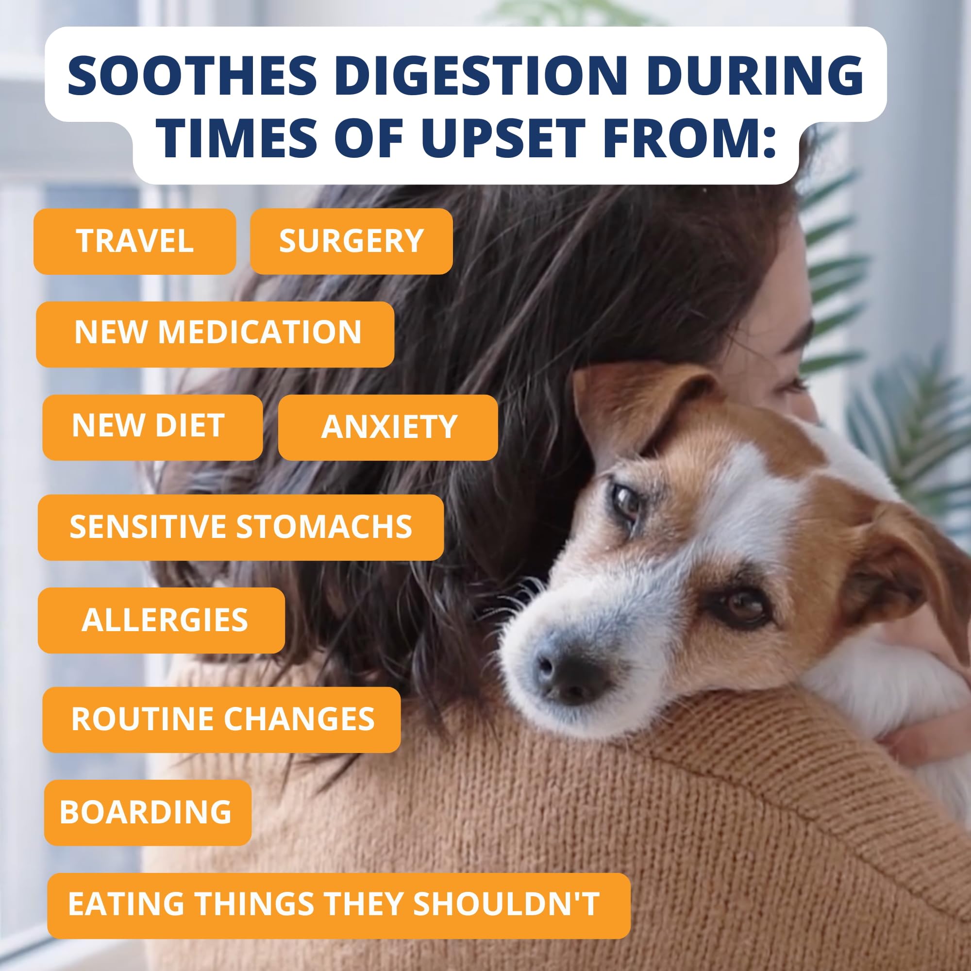Under the Weather Bland Diet for Dogs | Easy to Digest for Sick Dogs |Always Be Ready | Contains Electrolytes - All Natural Free