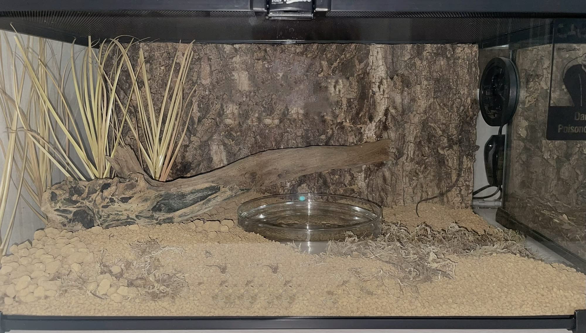 WOLEDOE Fake Desert Dry Grass, Reptile Plants for Terrarium, Bearded Dragon Tank Accessories Habitat Decor fit Crested Gecko Leo