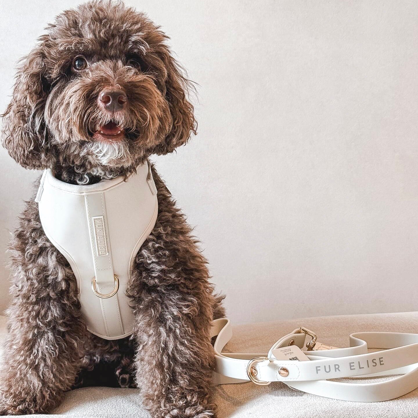 Fur Elise Essentials Walk Set - Bone
