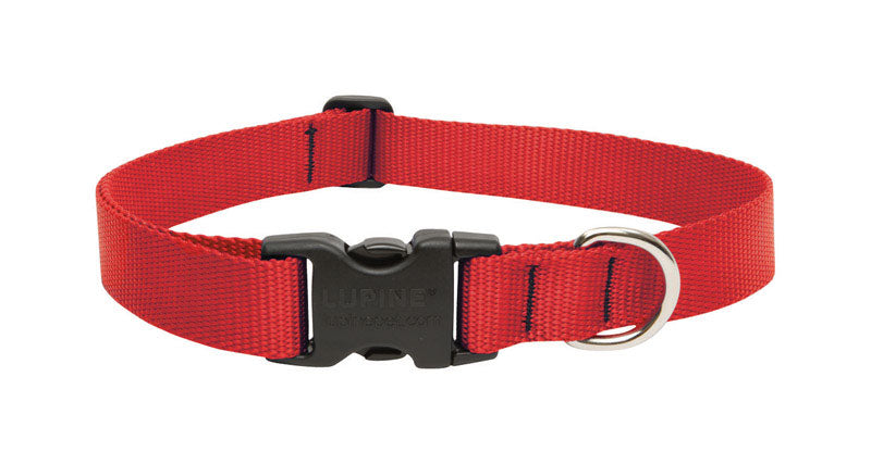 DOG COLLAR 16-28ADJ RED (Pack of 1)