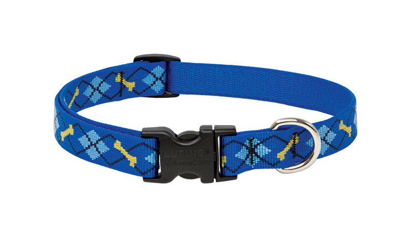 DOG COLLAR 13-22ADJ DPDG (Pack of 1)