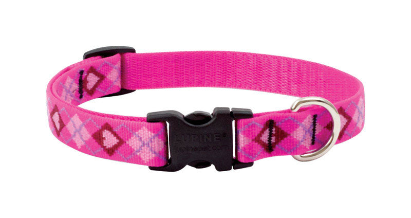DOG COLLAR13-22ADJ PYLV (Pack of 1)