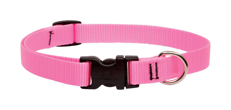 DOG COLLAR ADJ13-22PINK (Pack of 1)