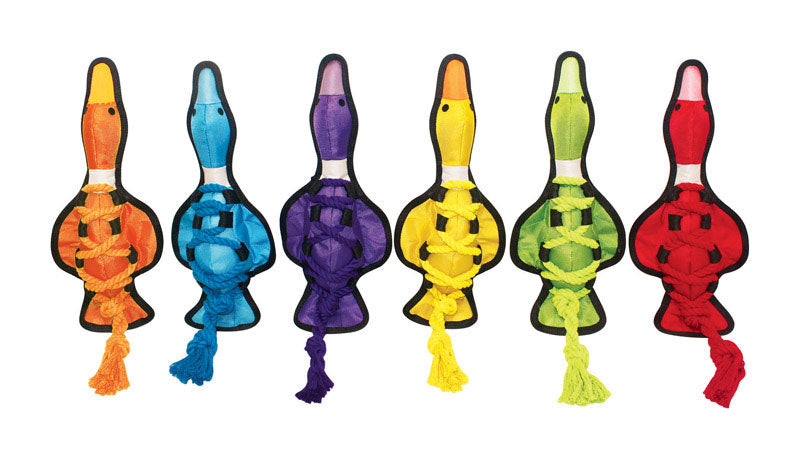 CROSS ROPE TUG TOY 11.5 (Pack of 1)
