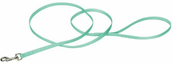 Coastal Pet Single-Ply Nylon Dog Leash Teal  4'L x 3/8"W