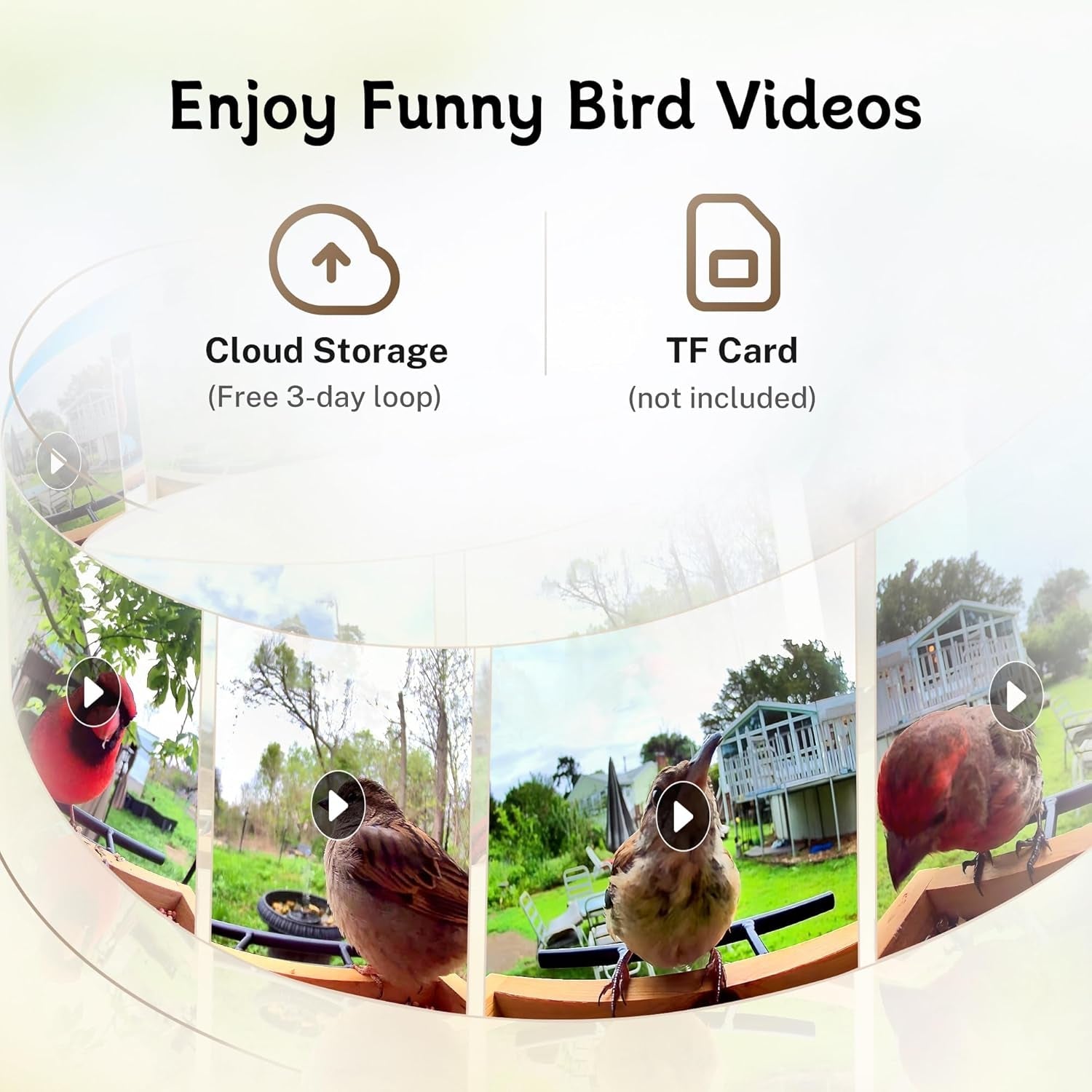 Bird Feeder Camera WiFi Smart AI Motion Detection 1080P 1.5L