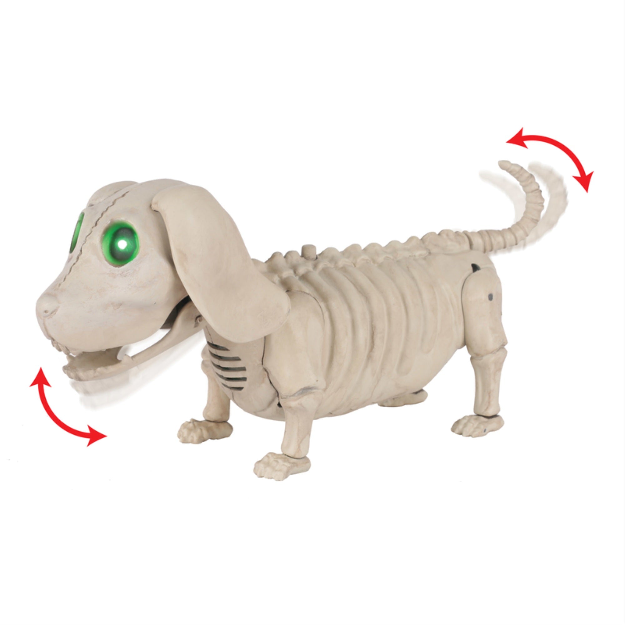 Animtd Dog Skeltn 10.25Inch Inch  (Pack Of 1)