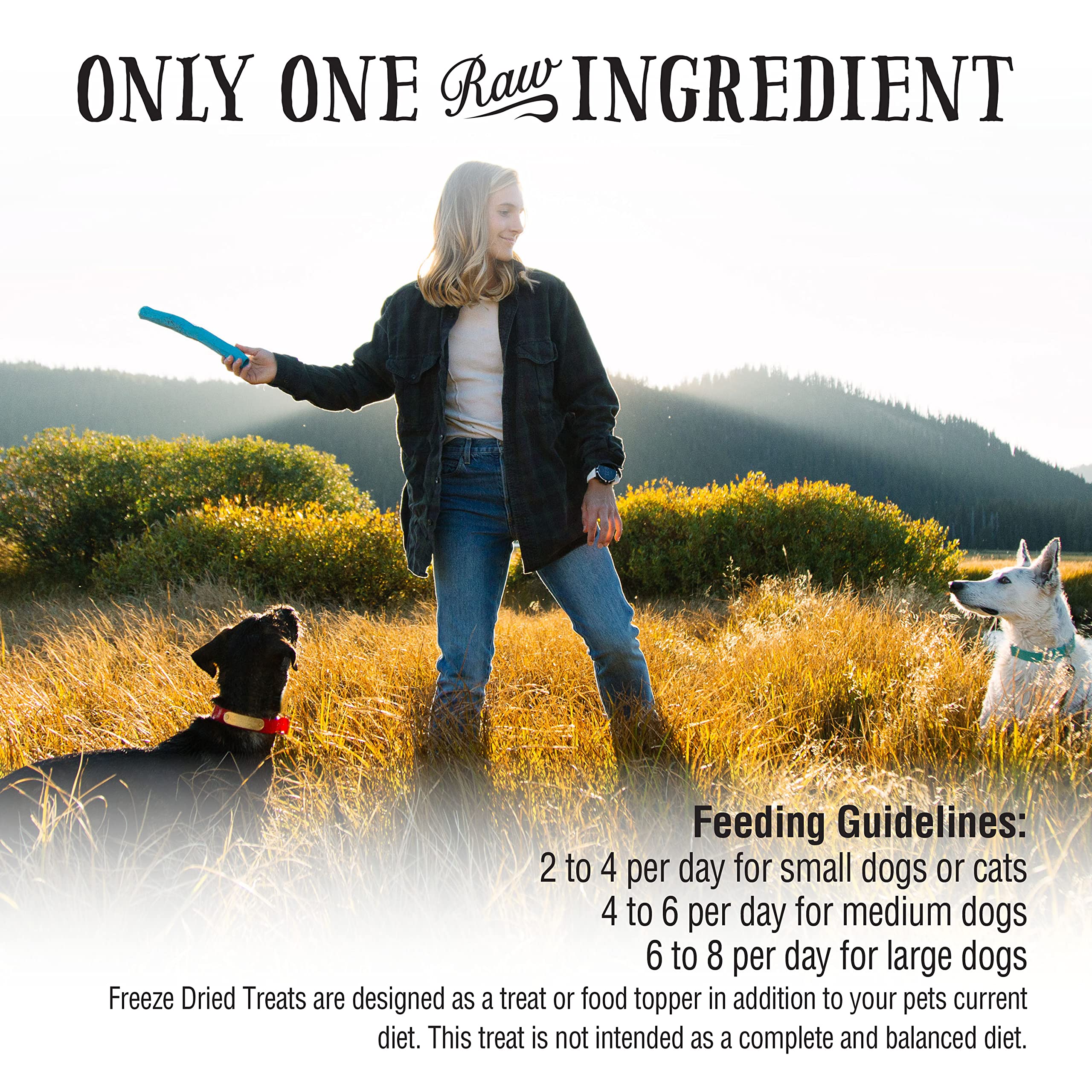 Northwest Naturals Freeze-Dried Pork Hearts Dog & Cat Treats - Grain-Free, Gluten-Free, 10 Oz.