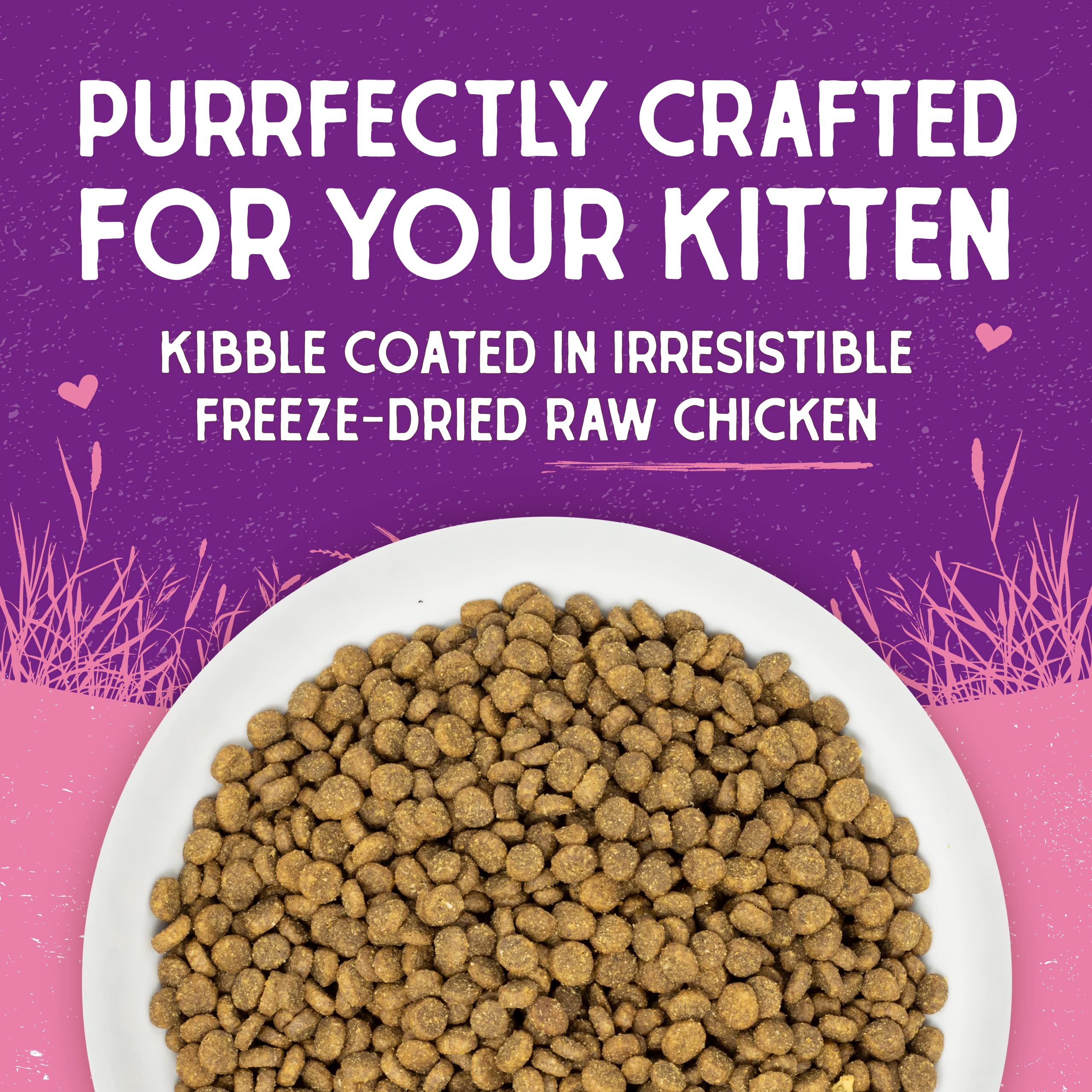Stella & Chewys Raw Coated Premium Kibble Cat & Kitten Food - Grain Free, Protein Rich Meals - Cage-Free Chicken for Kittens Re