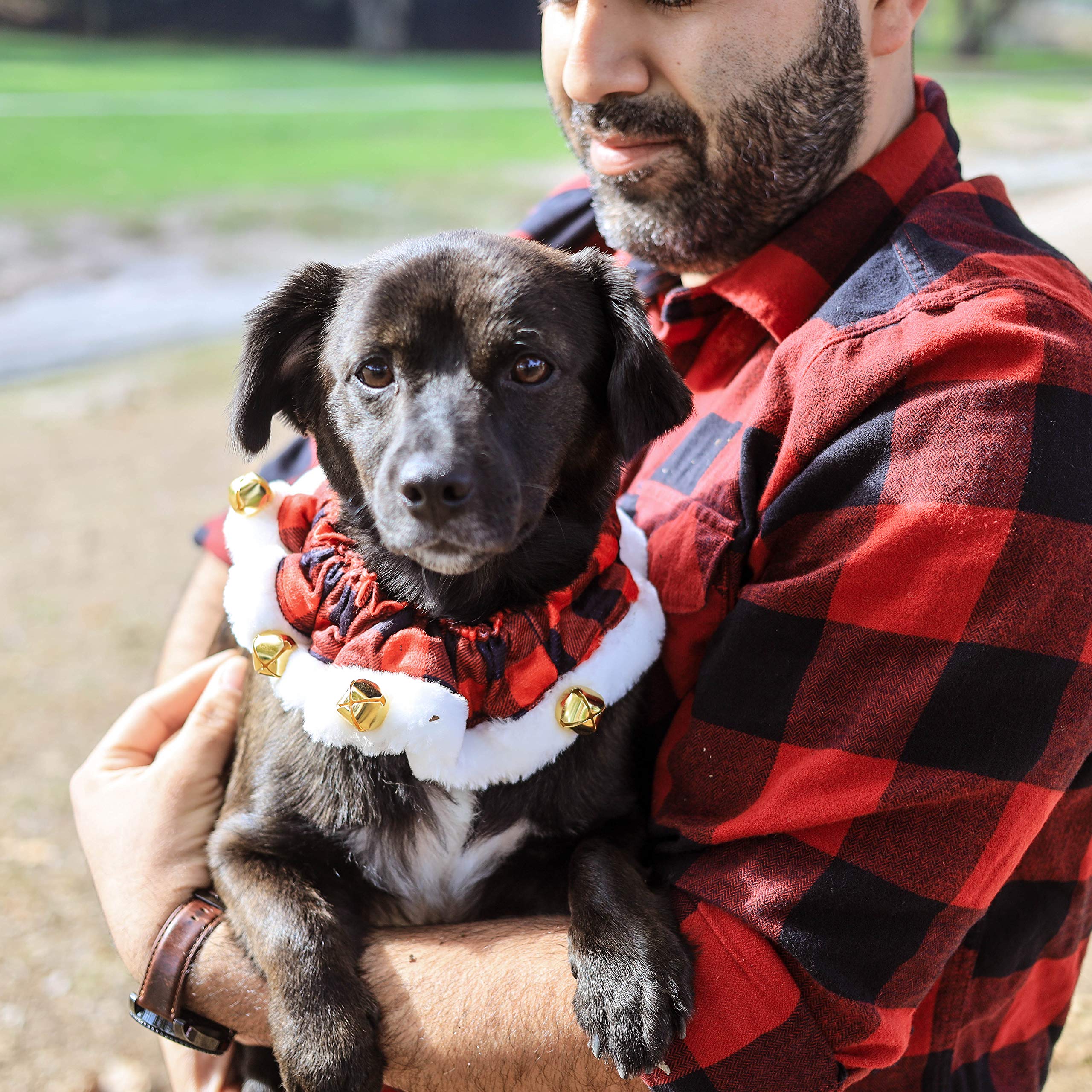 Huxley & Kent Ruff Pet Scrunchy | Buffalo Check (Medium) | Festive Christmas/Holiday Neckwear for Dogs/Cats | Fun Stretchable Co