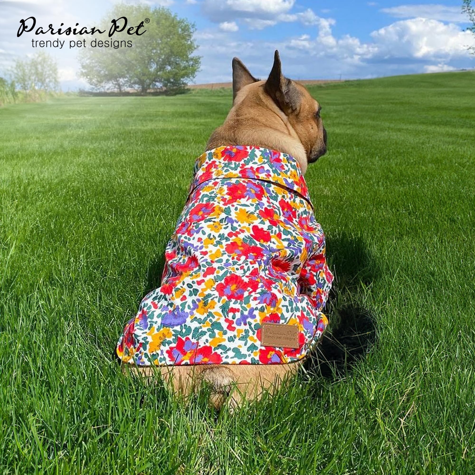 Parisian Pet Floral Pattern Cotton Shirt - Summer Beach Outfit For Small Dogs - Hook And Loop Closure, Machine Washable - Size S