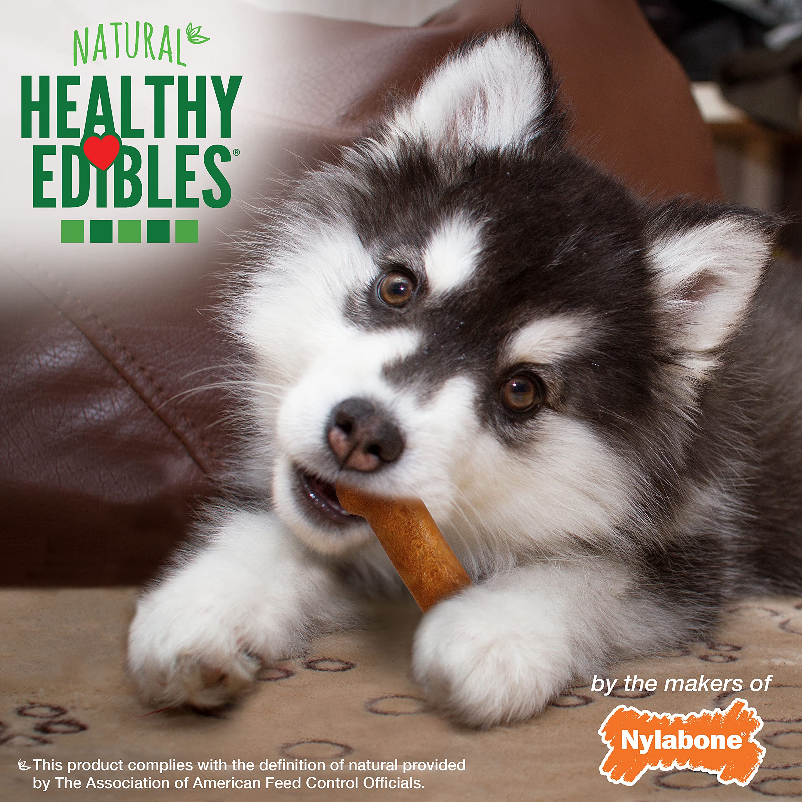 Nylabone Healthy Edibles Natural Puppy Treats - Long-Lasting Dog Treats - Puppy Supplies - Turkey & Sweet Potato Flavor, Small/R