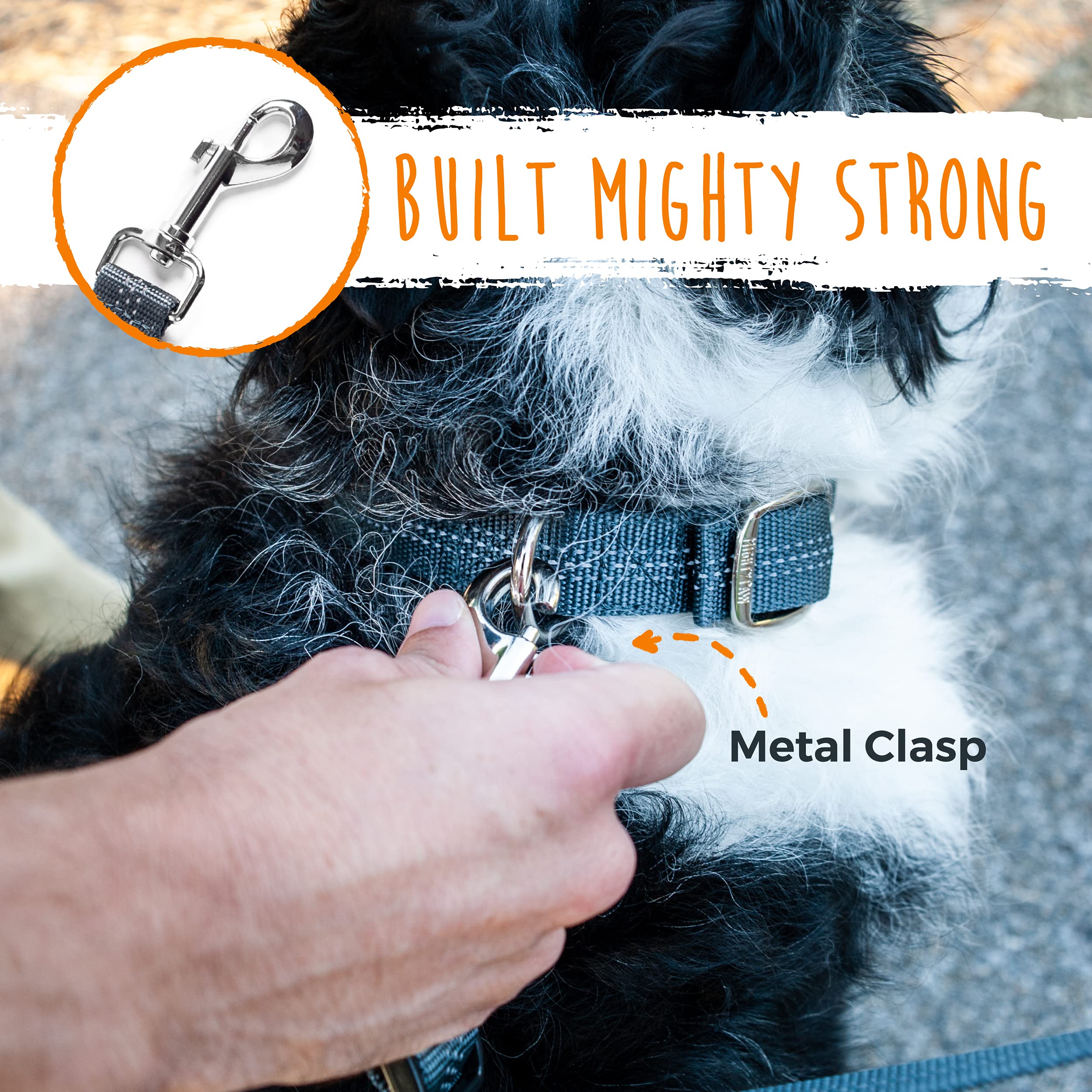 Mighty Paw Double Dog Leash  Dual Dog Leash, Two Dog Leash, Multiple Dog Leash For 2 Dogs, Double Leash For Dogs, Leash Splitter