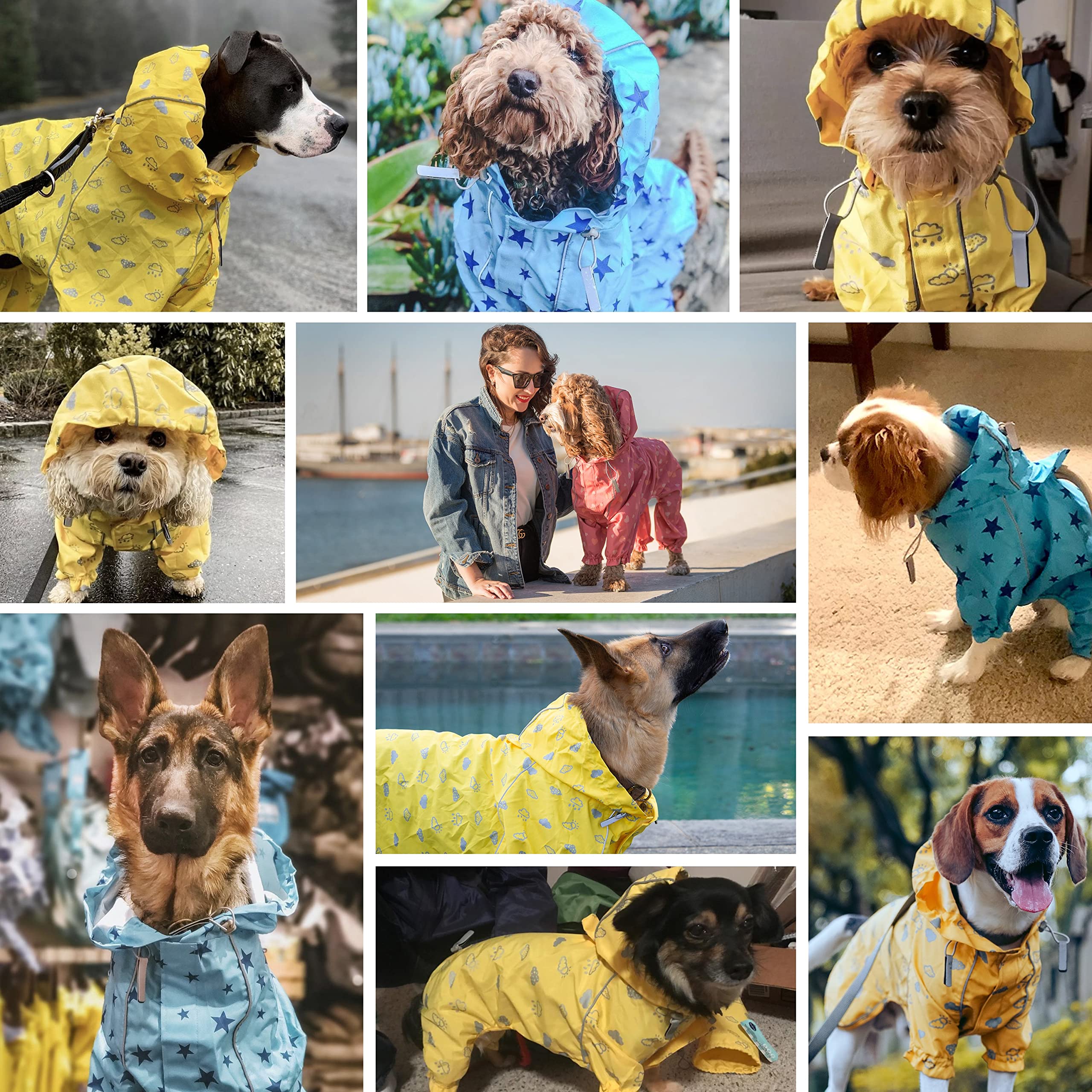 Blueberry Pet 14" Waterproof Dog Raincoat with Hood, Reflective, Blue Star Prints, 2 Legs, Model BBPDRCTS00004BL14