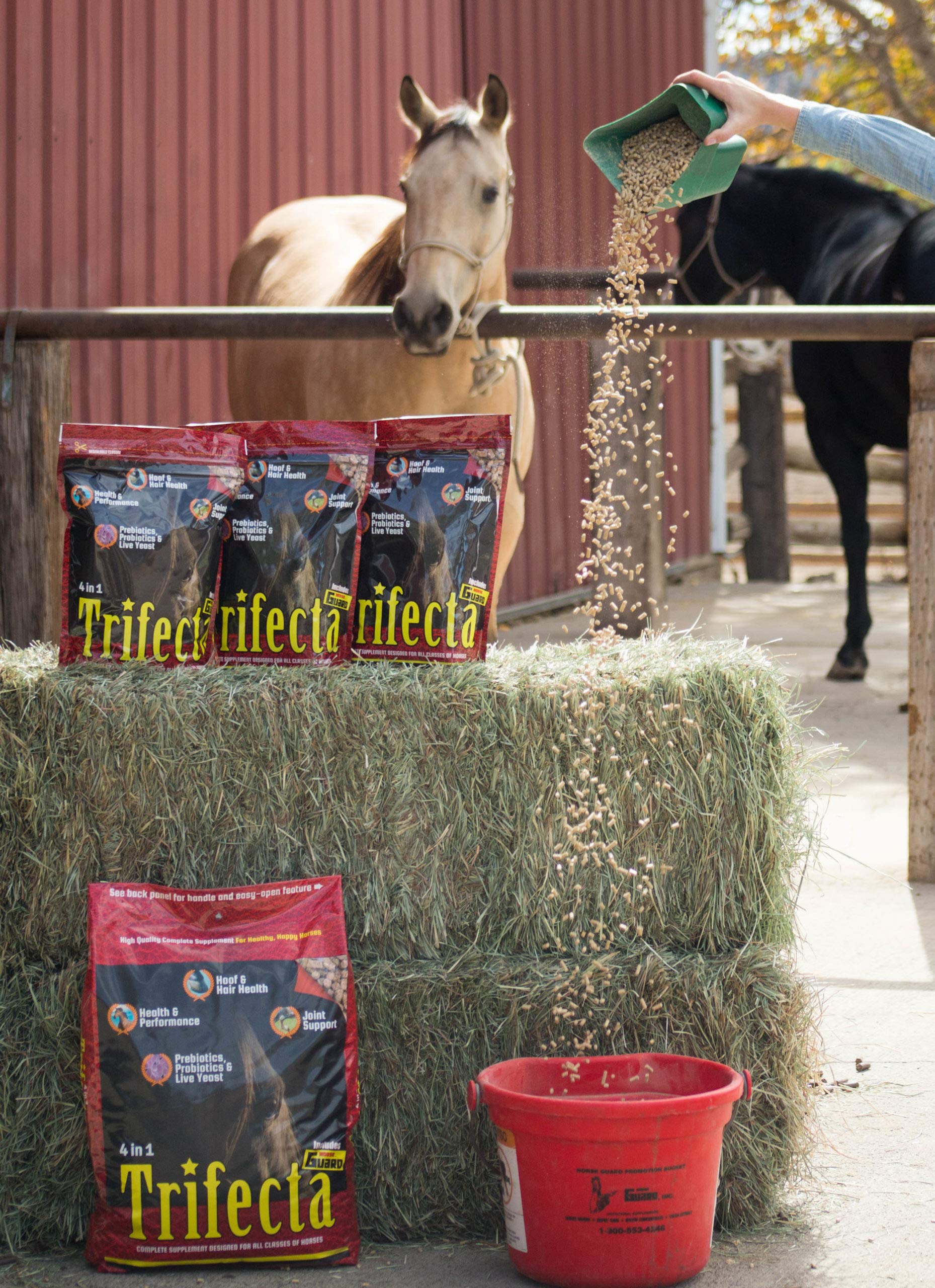 Horse Guard Trifecta 4-in-1 Equine Vitamin Mineral Supplement, 10 lb Bag, Joint & Hoof Support, Sand Color