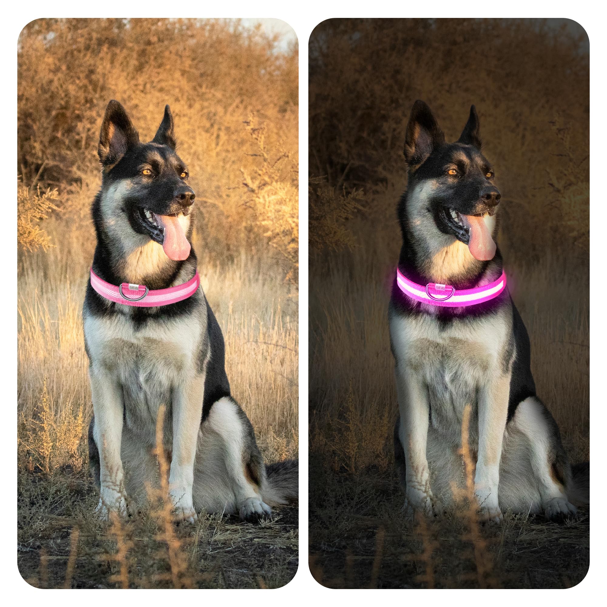 Light Up Dog Collar Rechargeable, Led Dog Collar Waterproof, Glow In Dark Dog Collar, Lighted Dog Collars For Night Walking Char