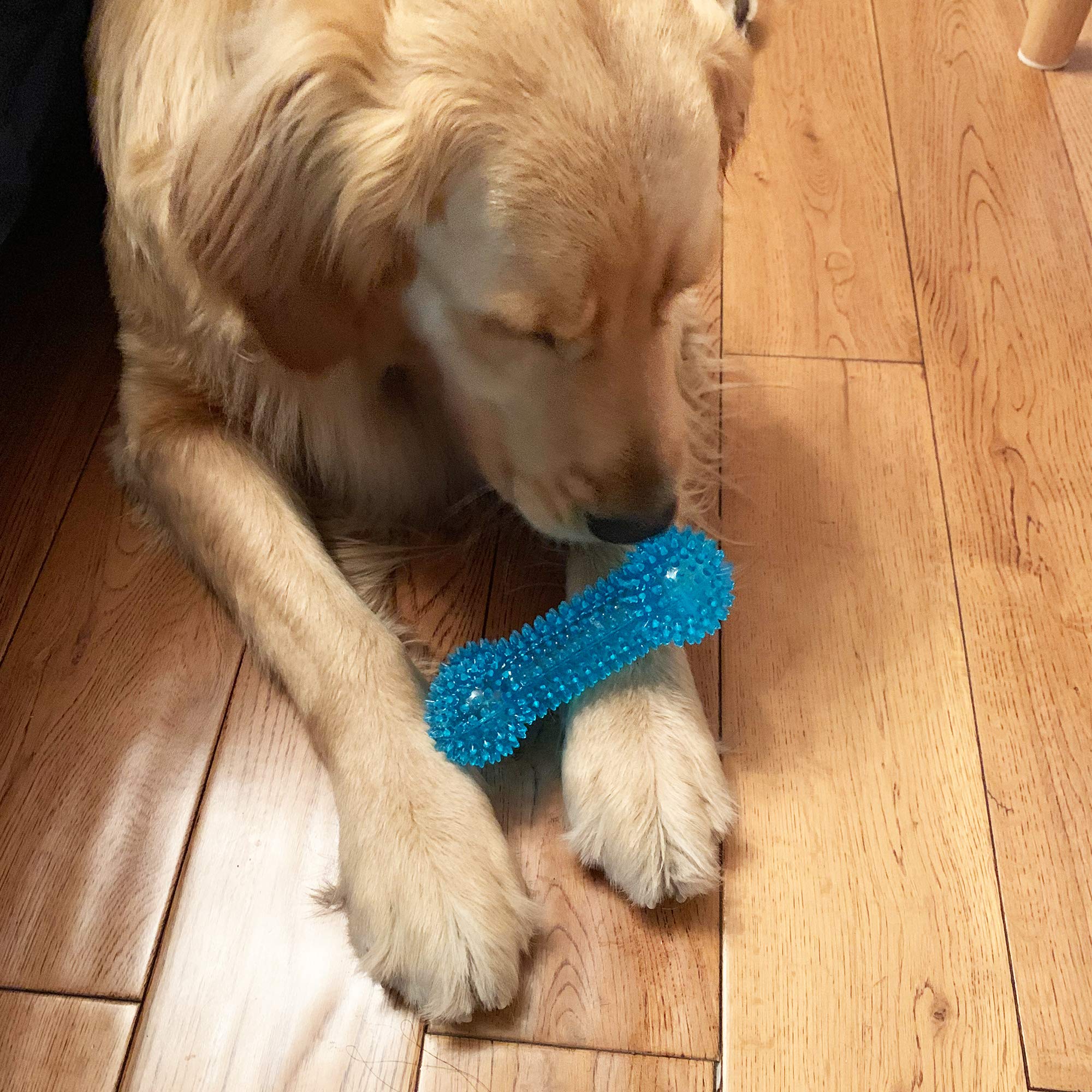 Dog Squeaky Toys Value Set Non-Toxic Dog Squeaky Balls for Dogs Toss Fetch Toys for Dogs TPR Rubber Puppy Toys Spikey Dog Chew T