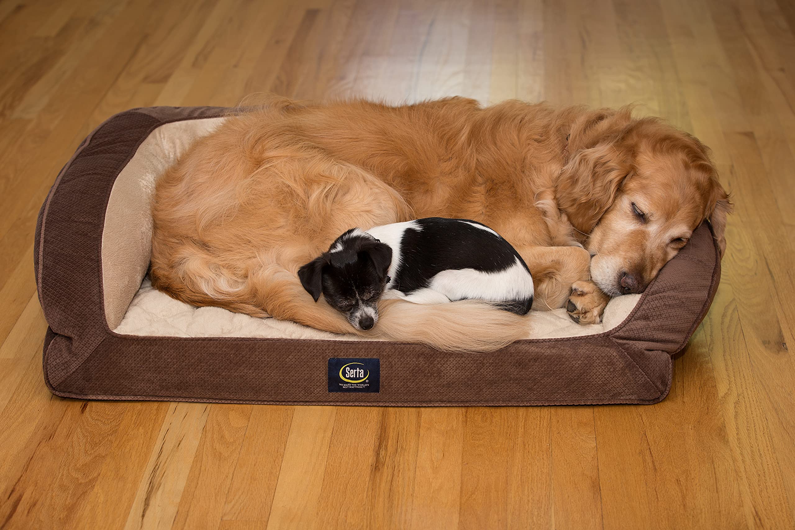 Serta Ortho Quilted Couch Pet Bed - Large 38" x 27" - Mocha - Durable Ortho Foam for Comfort