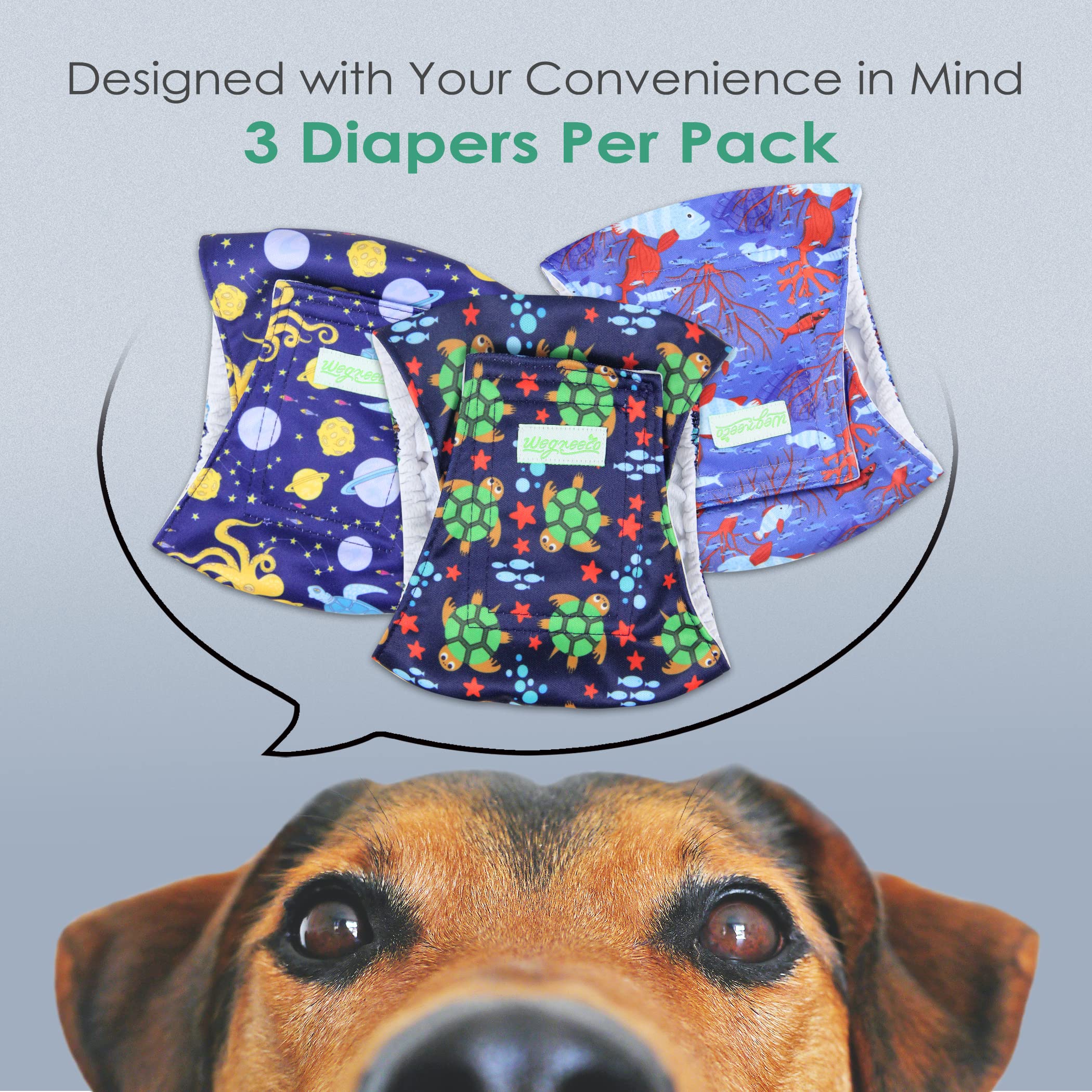 Wegreeco Washable Dog Diapers - Washable Male Dog Belly Wrap - Pack Of 3 (Turtle, Xx-Large)