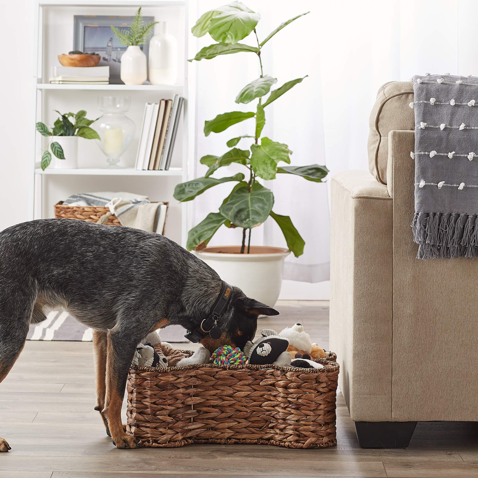 Bone Dry Pet Storage Collection Bone Shape Hyacinth Toy Basket, Dark Brown, Medium