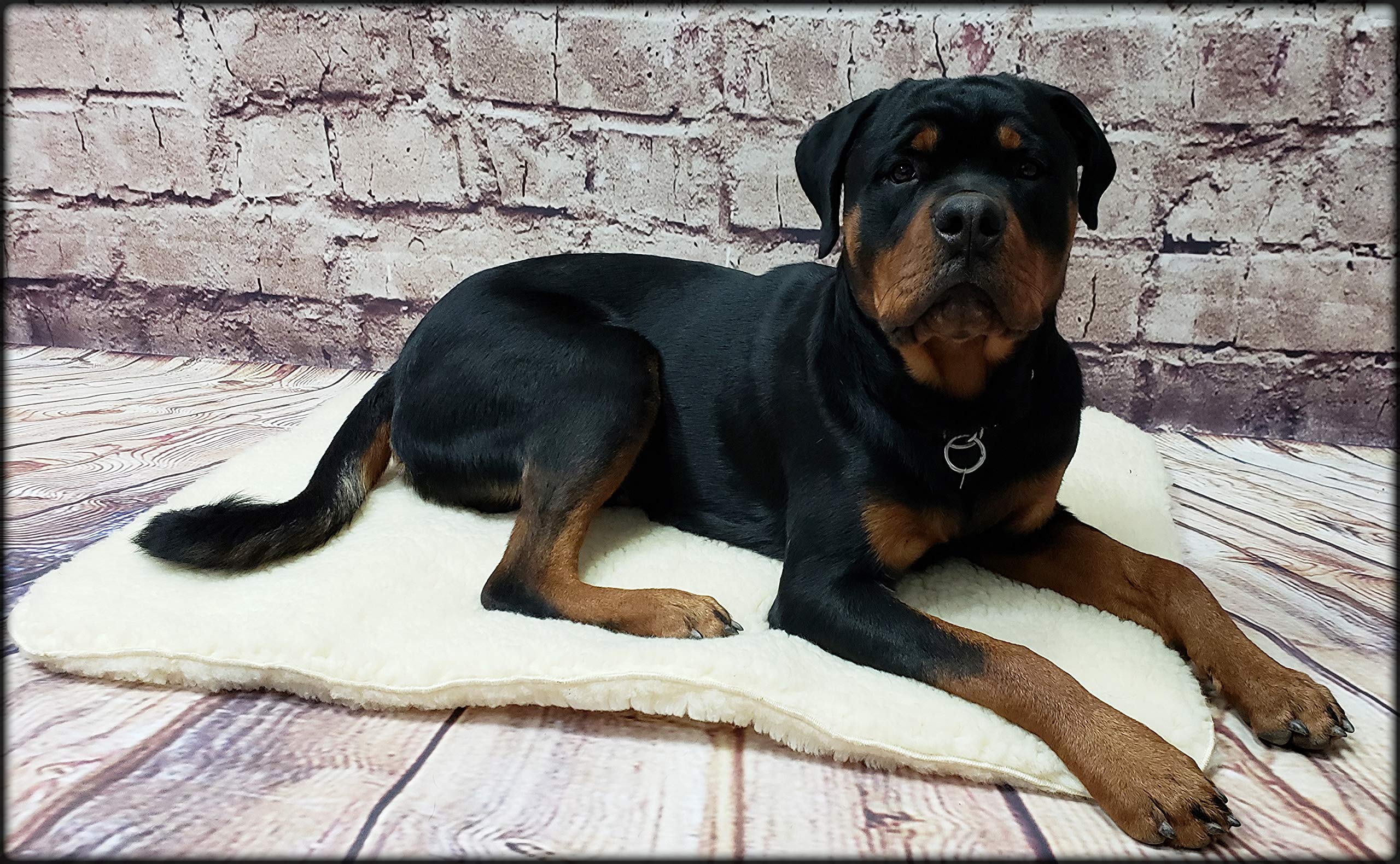 Activedogs Hi Loft Faux Lambskin Plush Sherpa Dog Bed - Medium 24'-36' - Orthopedic & Machine Washable - Double Layered