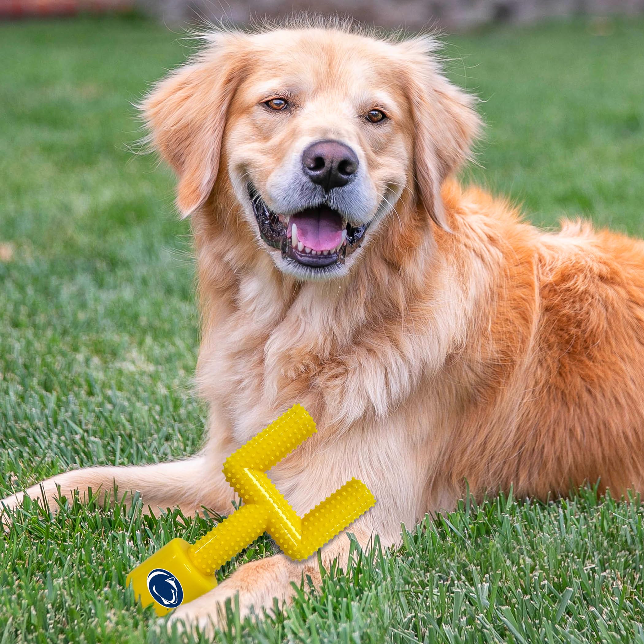 Ncaa Penn State Nittany Lions Mega-Chew Hard Nylon Bacon-Flavored Dog Bone Football Goal-Post Chew Toy. Interactive, Tasty & Fun