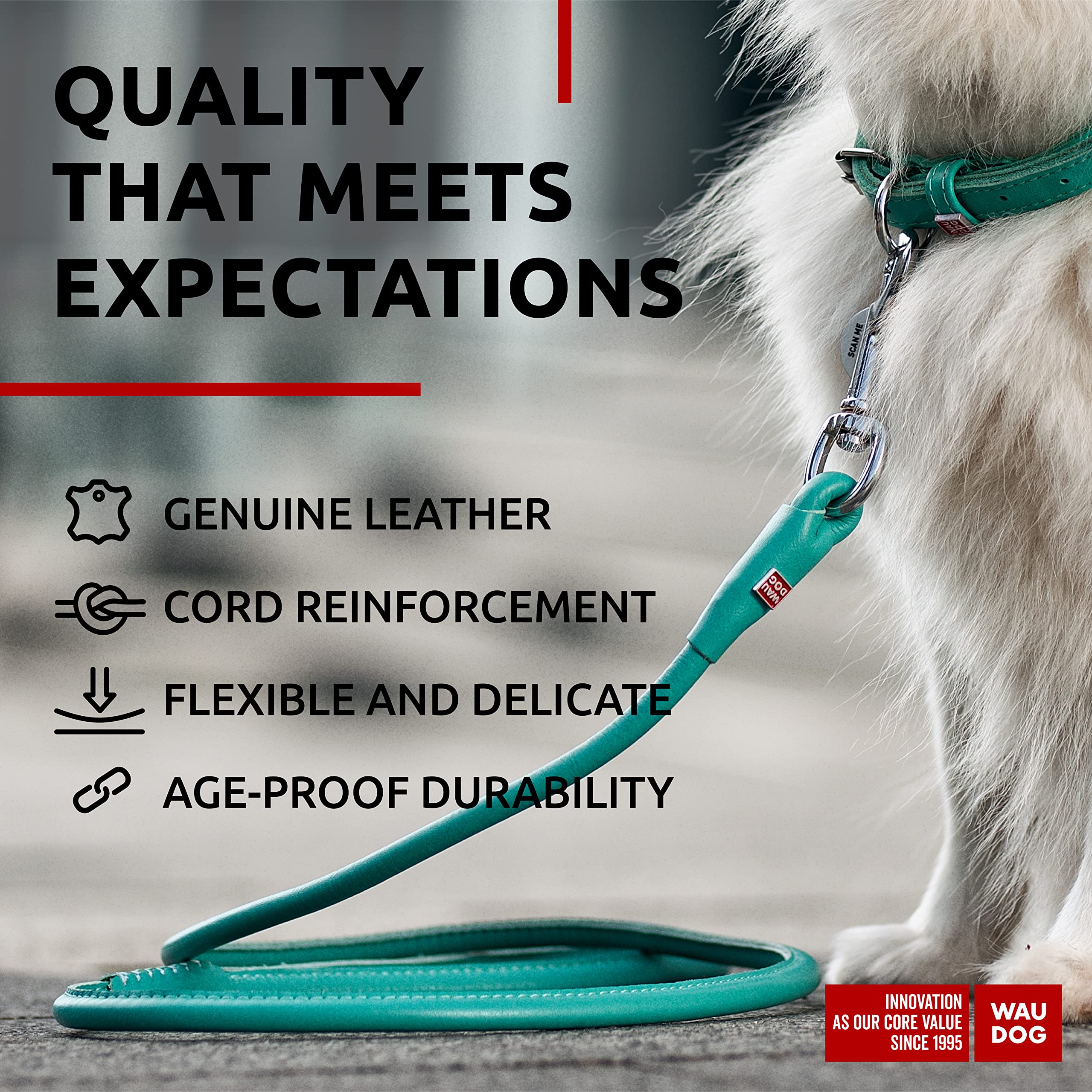 Waudog Rolled Leather Leash 4Ft * 0.3 In For Small, Medium & Large Dogs - Heavy Duty Leather Puppy Leash For Outdoor Walking, Ru