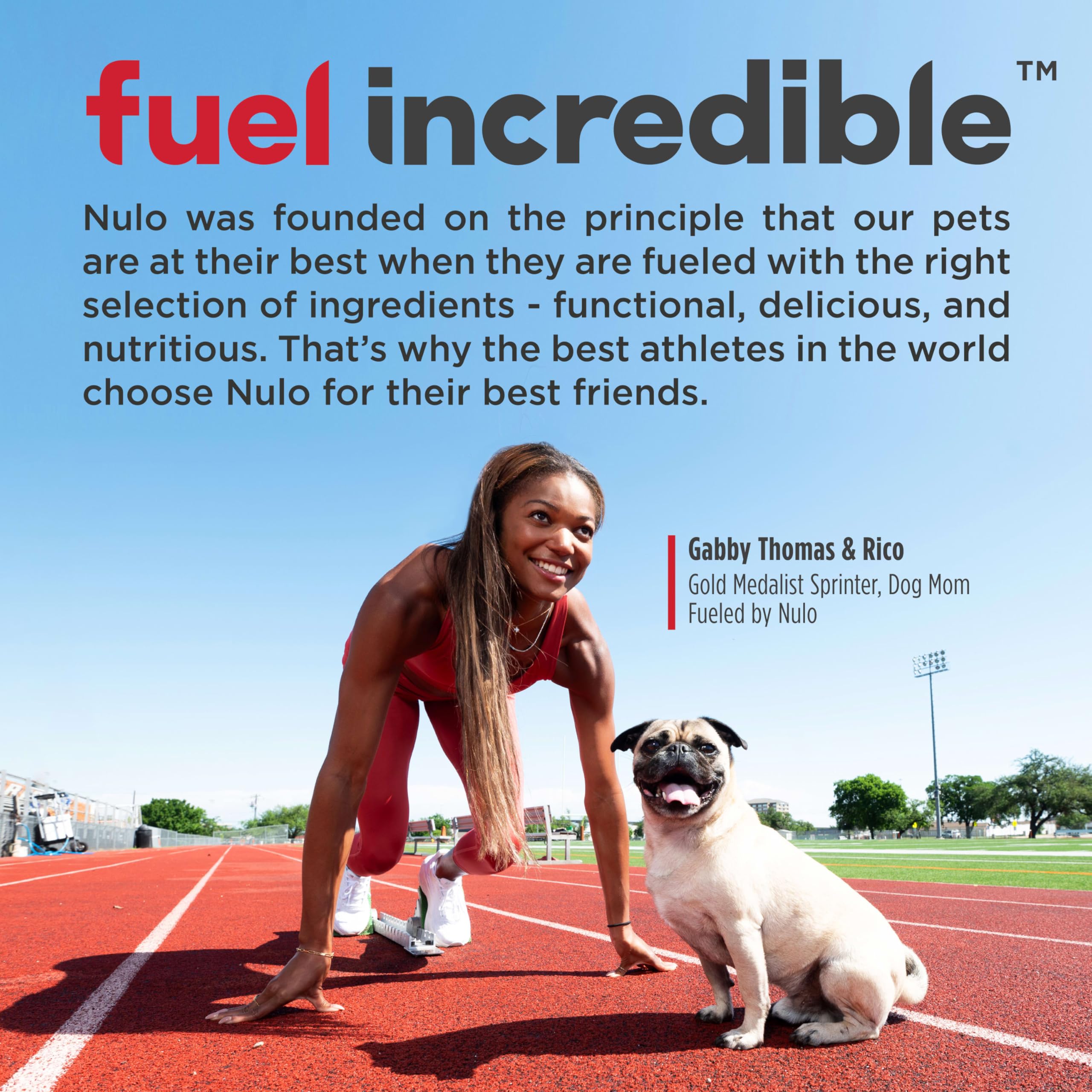 Nulo Freestyle Dry Dog Food - High Protein Lamb Recipe, Grain Free, 5.5lb for Puppies & Adults