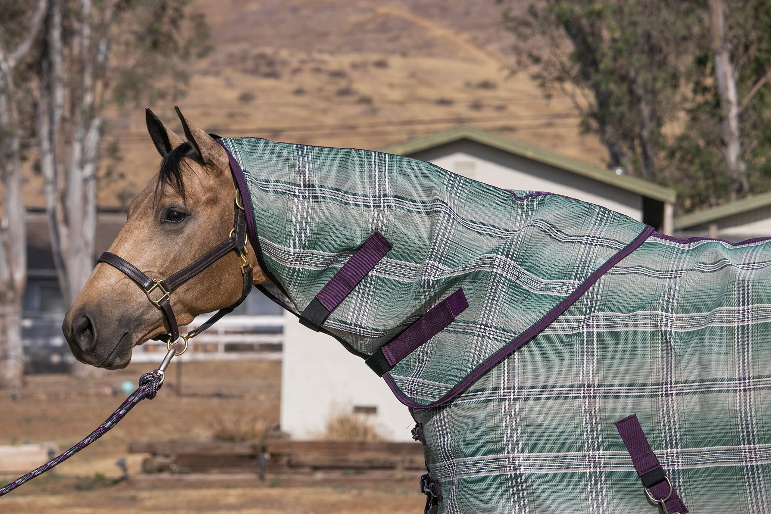 Kensington Textilene Neck Cover Size:S-Yearling Color: 2019 - Imperial Jade