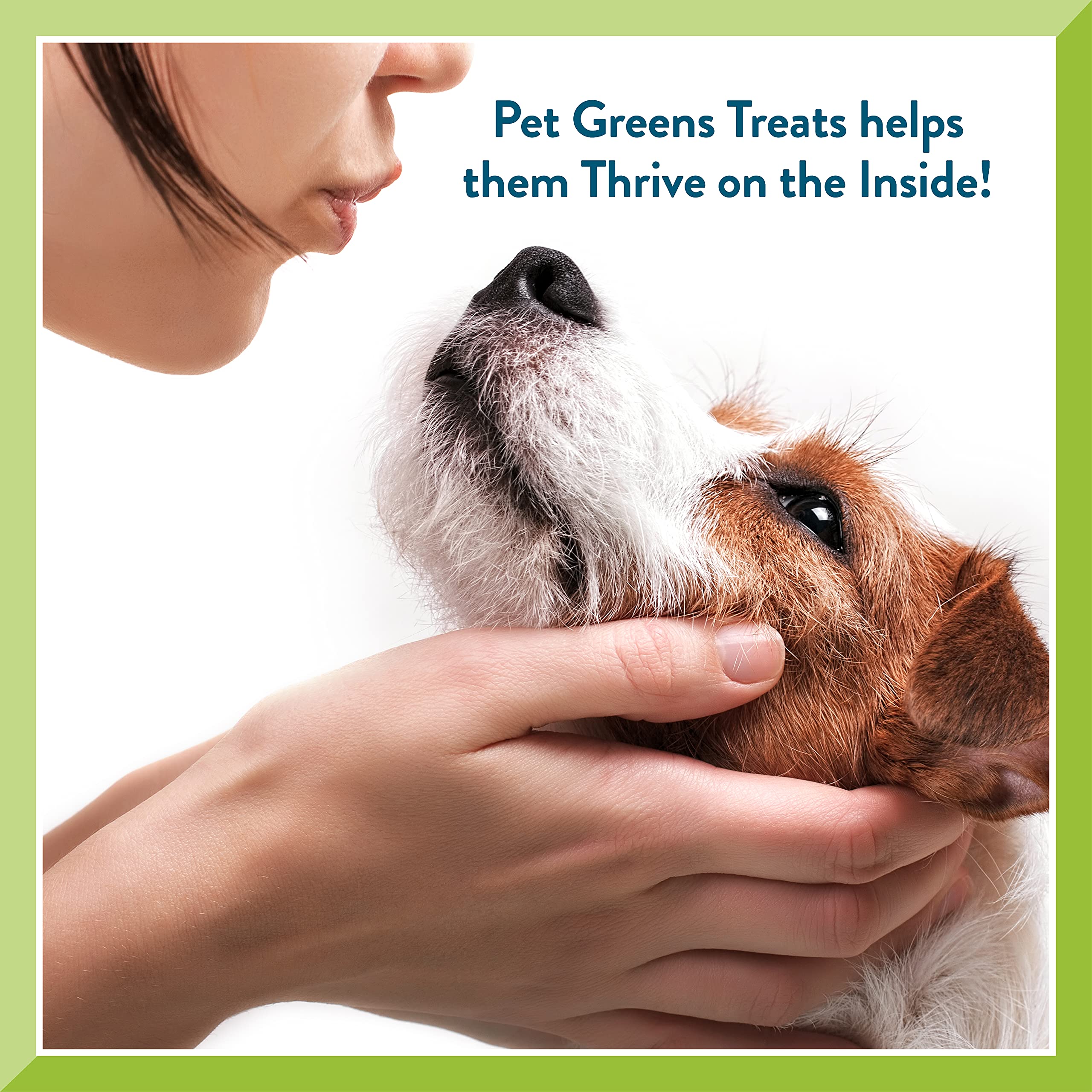 Pet Greens Treats Healthy Salmon Semi-Moist Dog Treat