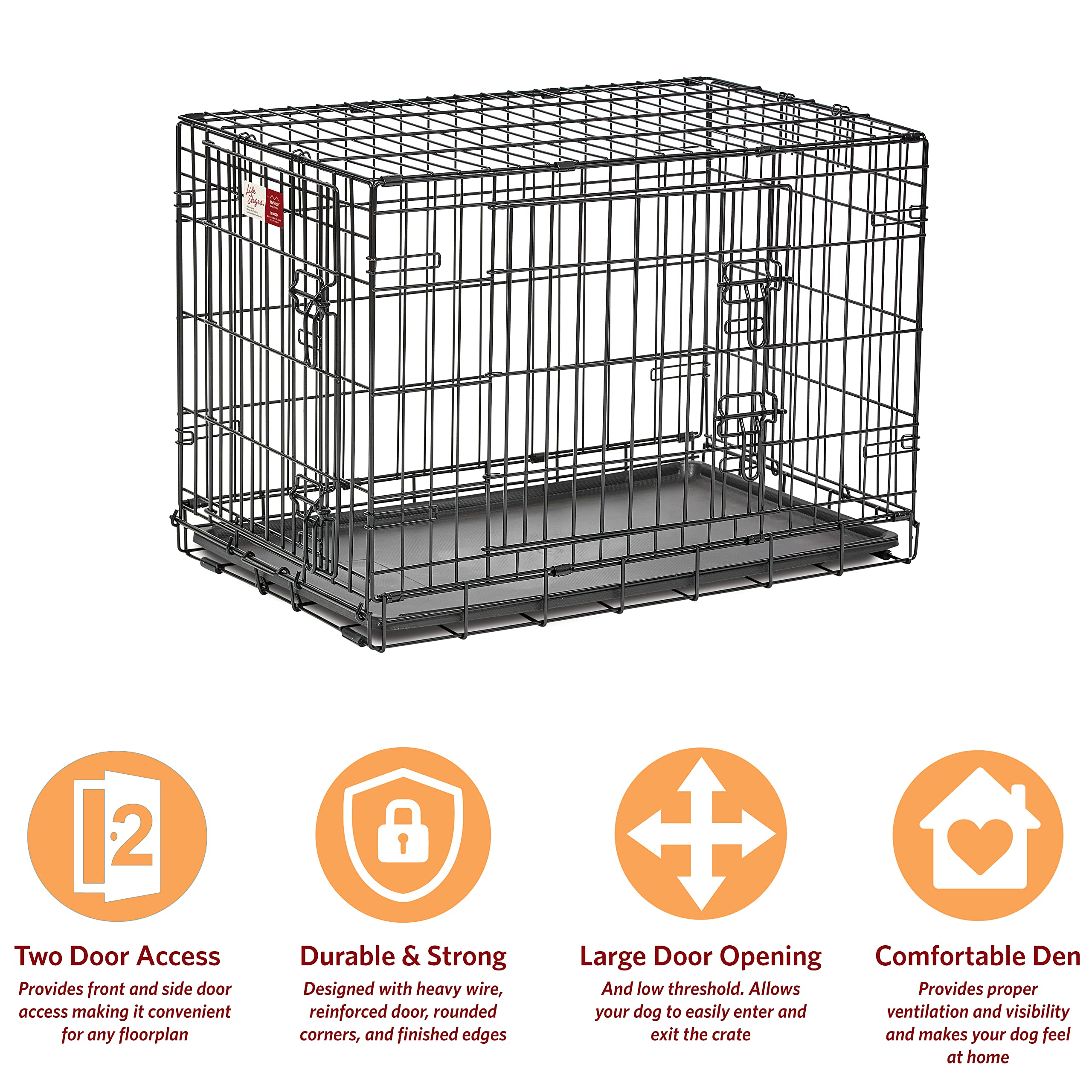 Medium Dog Crate | Midwest Life Stages 30' Double Door Folding Metal Dog Breed Crate | Divider Panel, Floor Protecting Feet & Dog Pan | 30.6L X 19.3W X 21.4H Inches