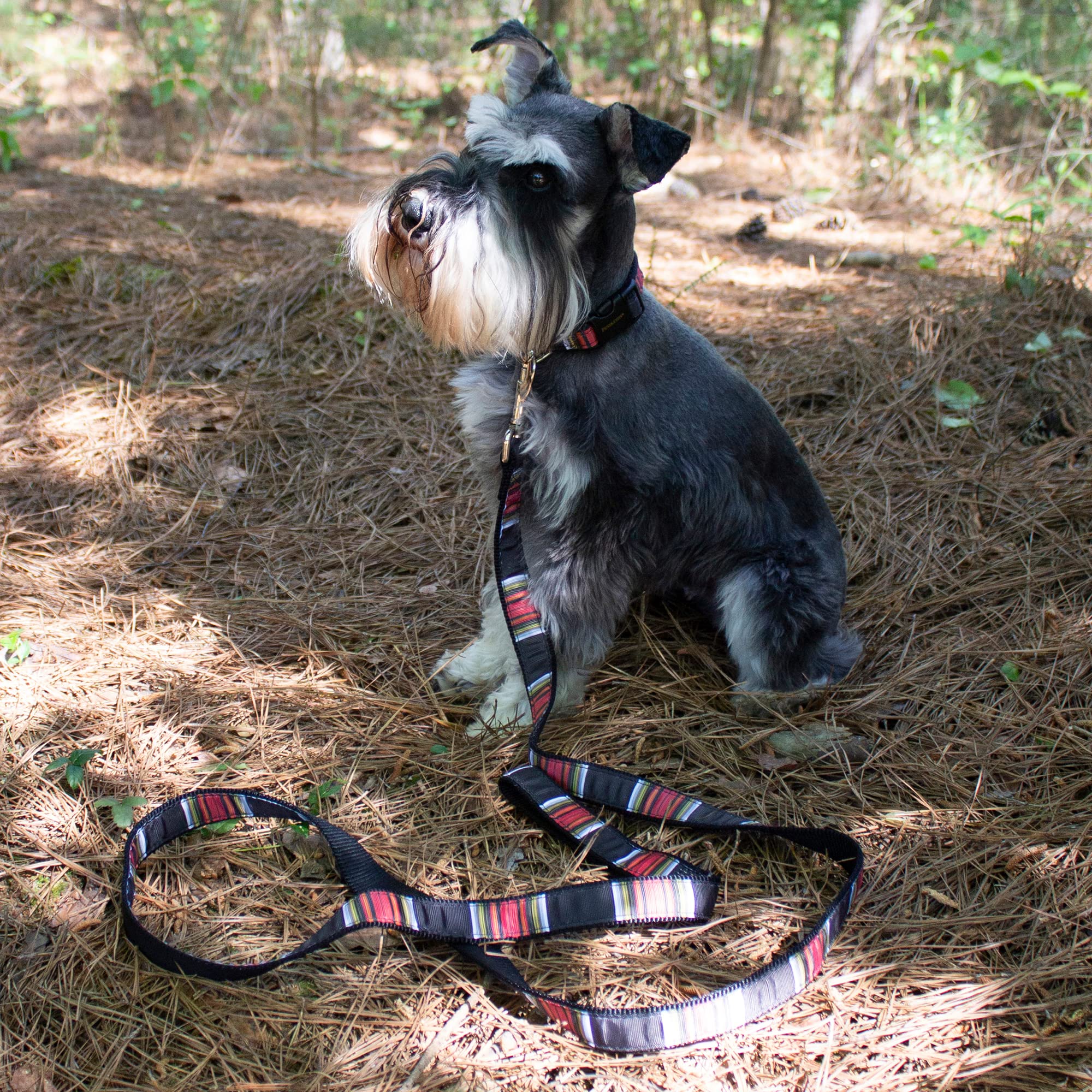 Pendleton Pet National Park Hiker Collar (Xl, Acadia)