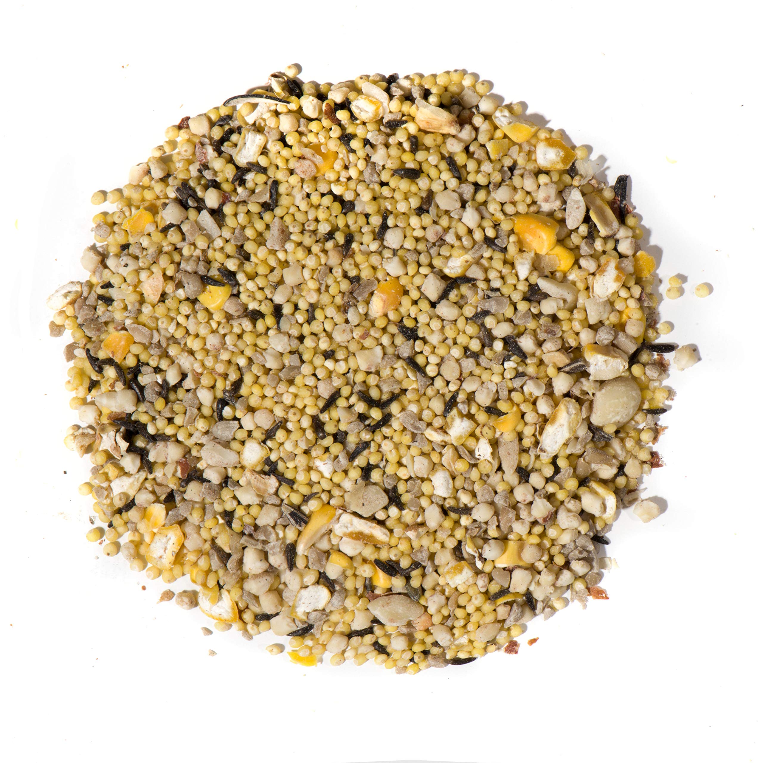 WLD BIRD FD ASS SPC 20LB (Pack of 1)